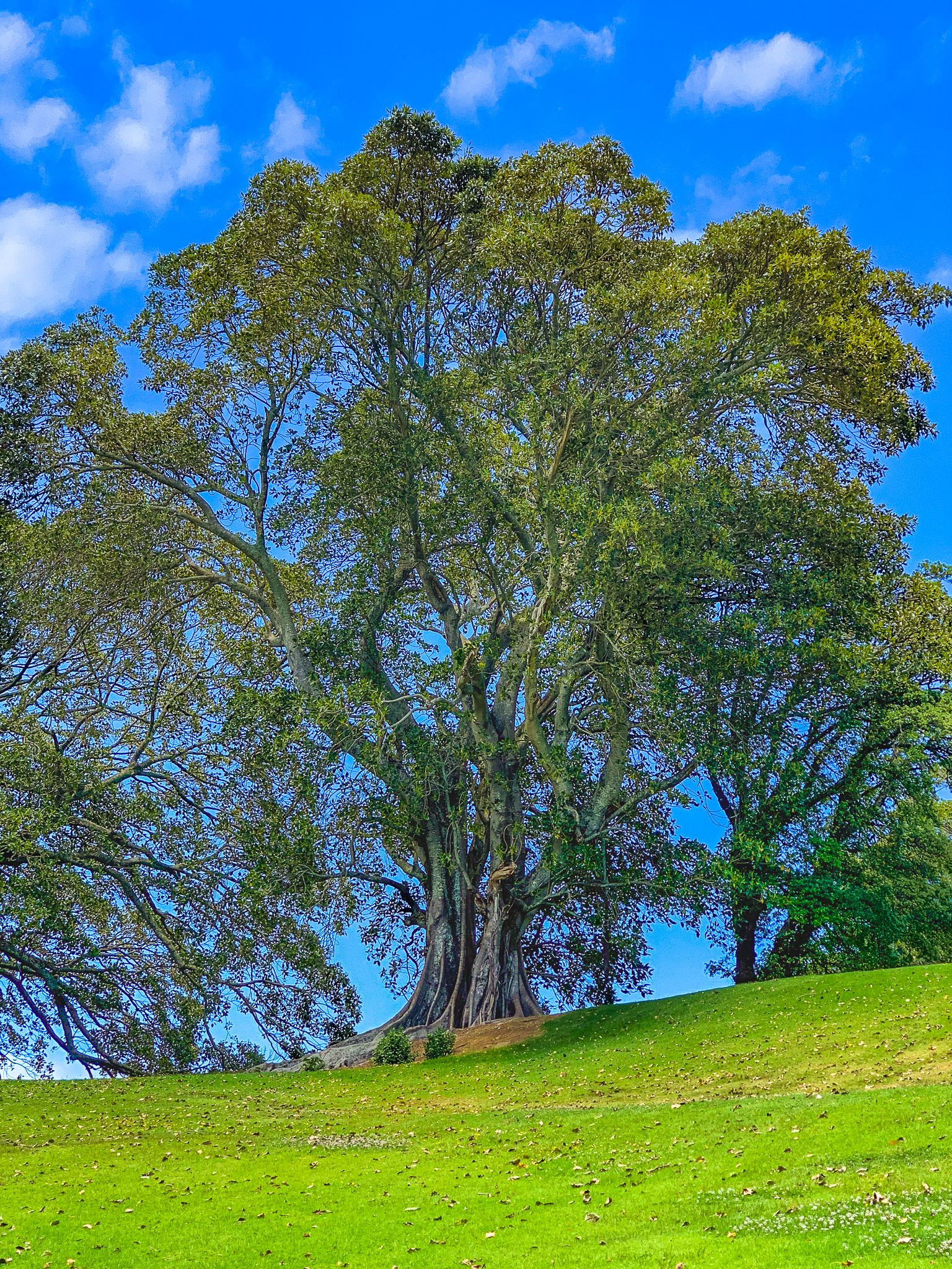 Image 9 of 10