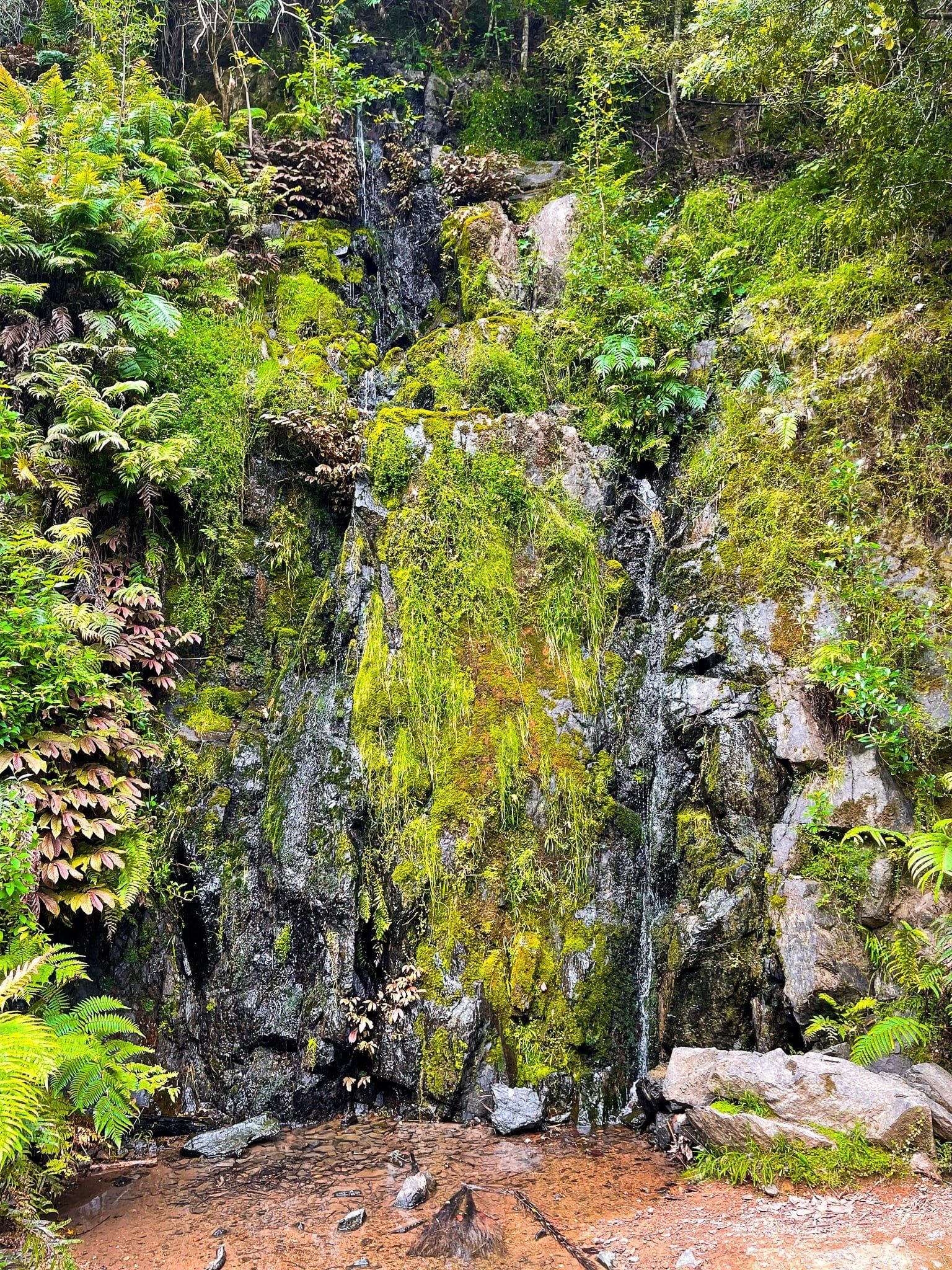 Image 5 of 8