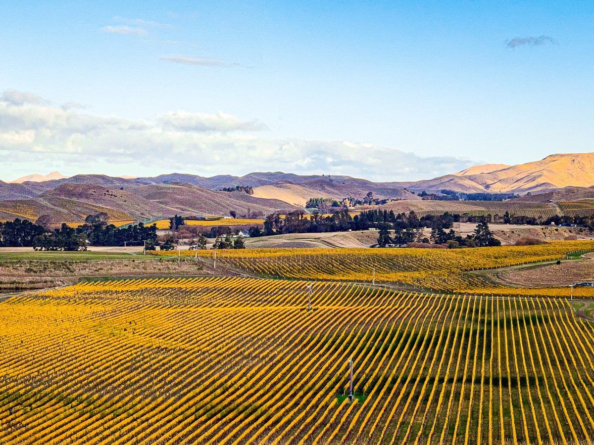 Awatere Valley