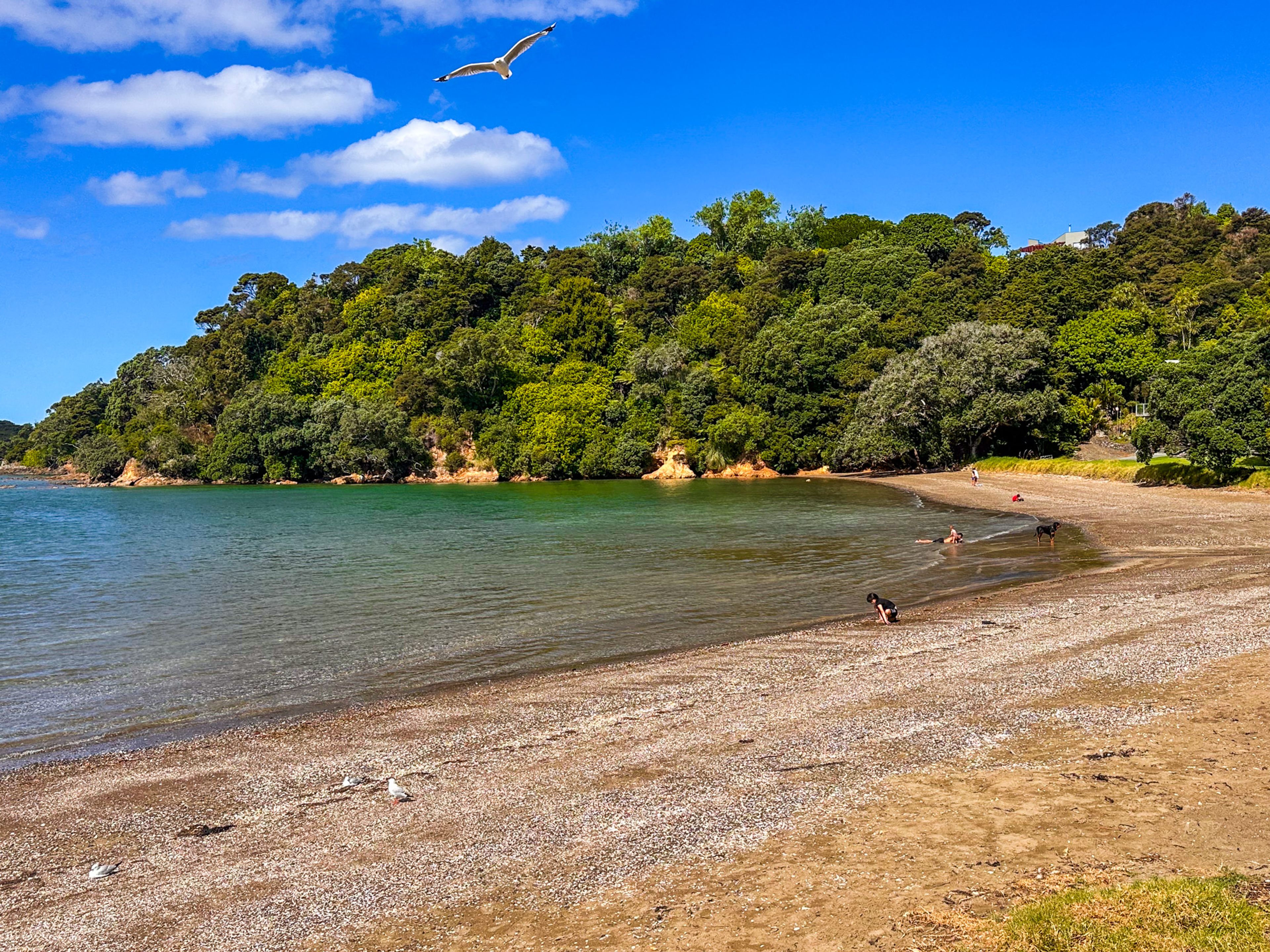 Kowharewa Bay