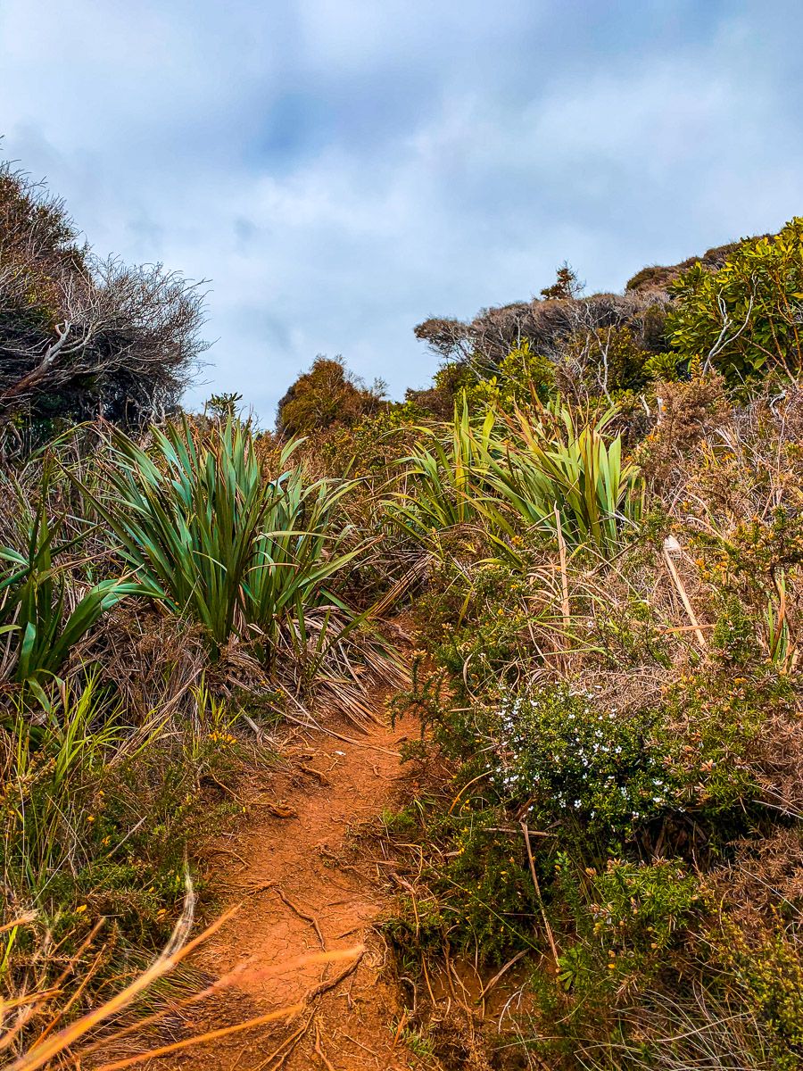 Image 8 of 8