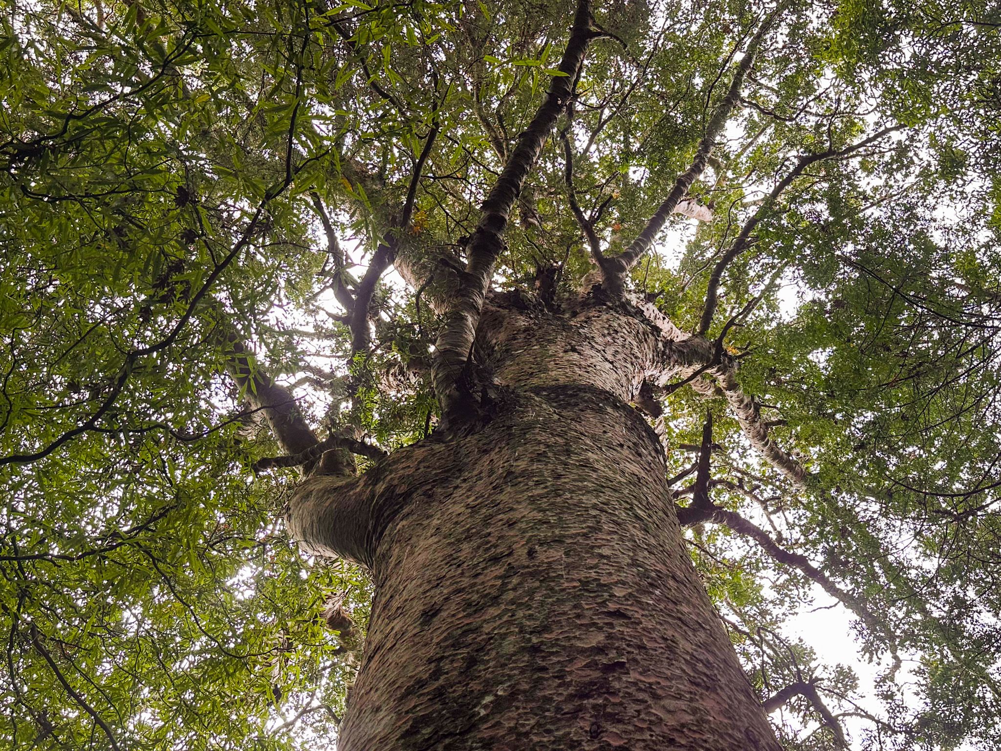 Image 7 of 10