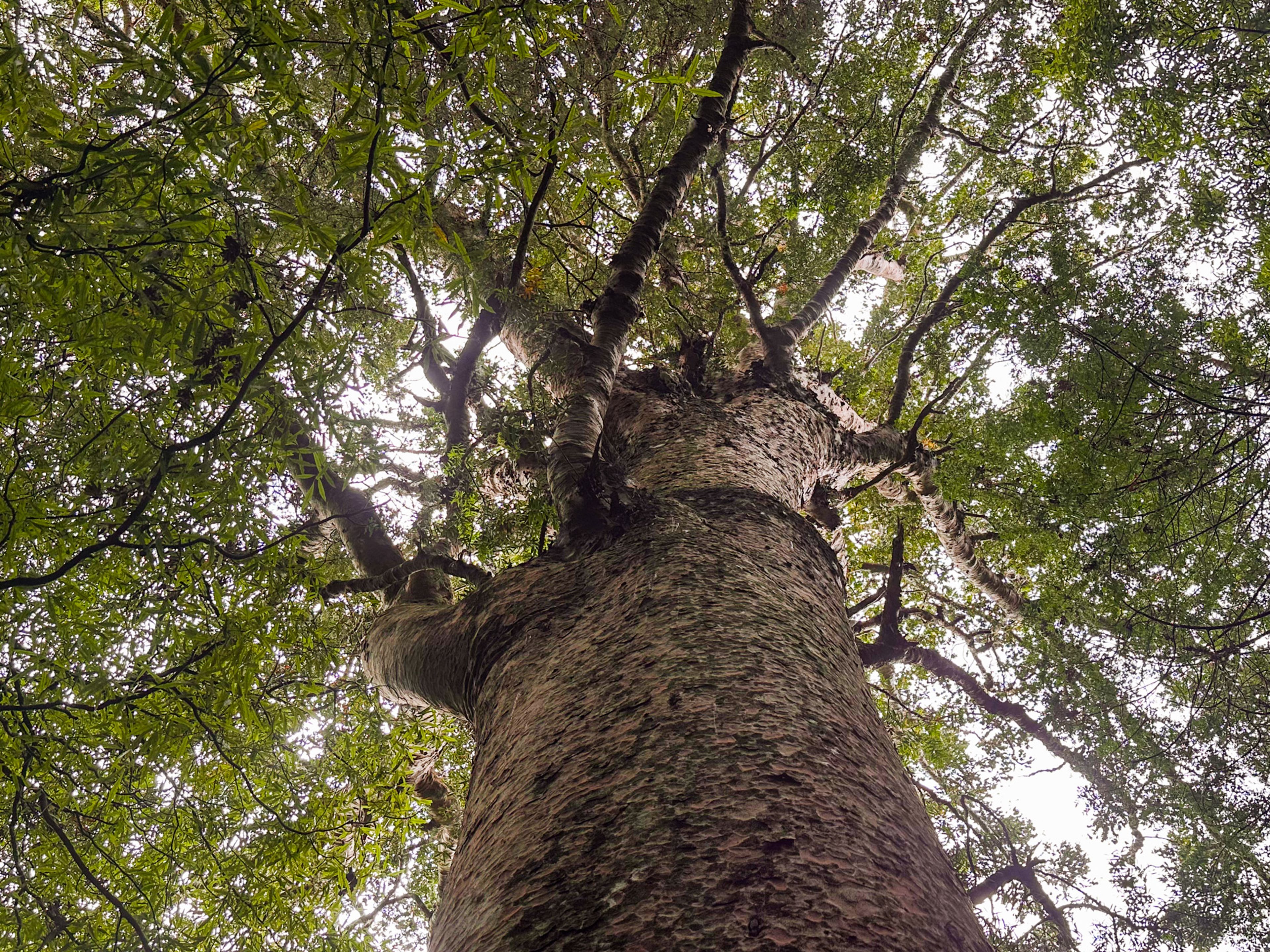 Image 7 of 10