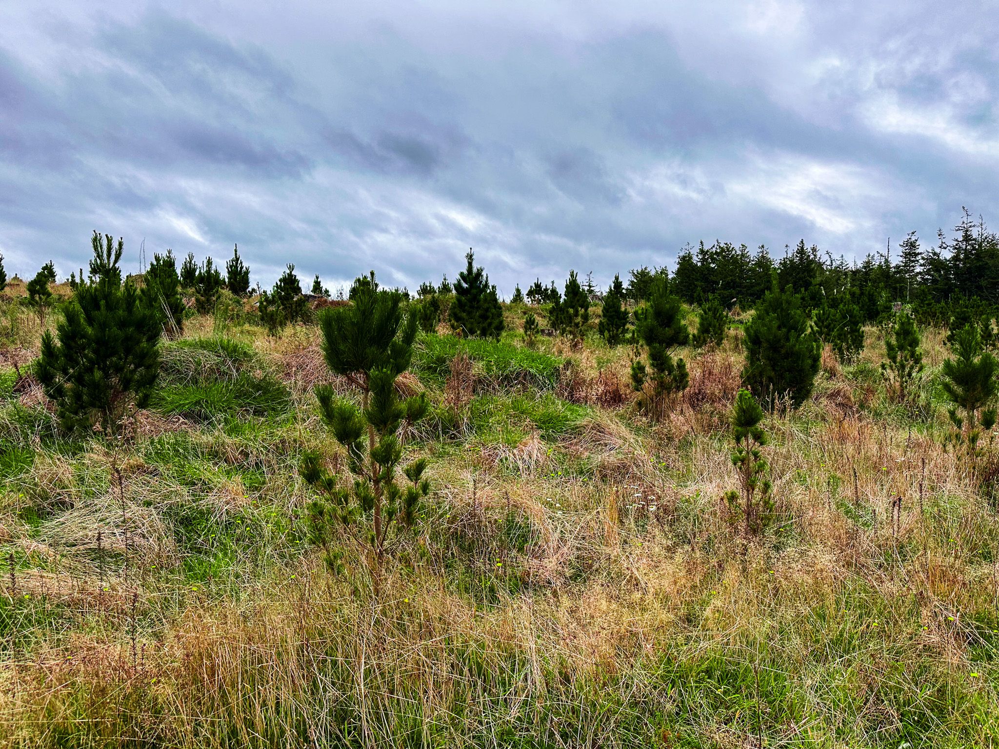 Image 8 of 10