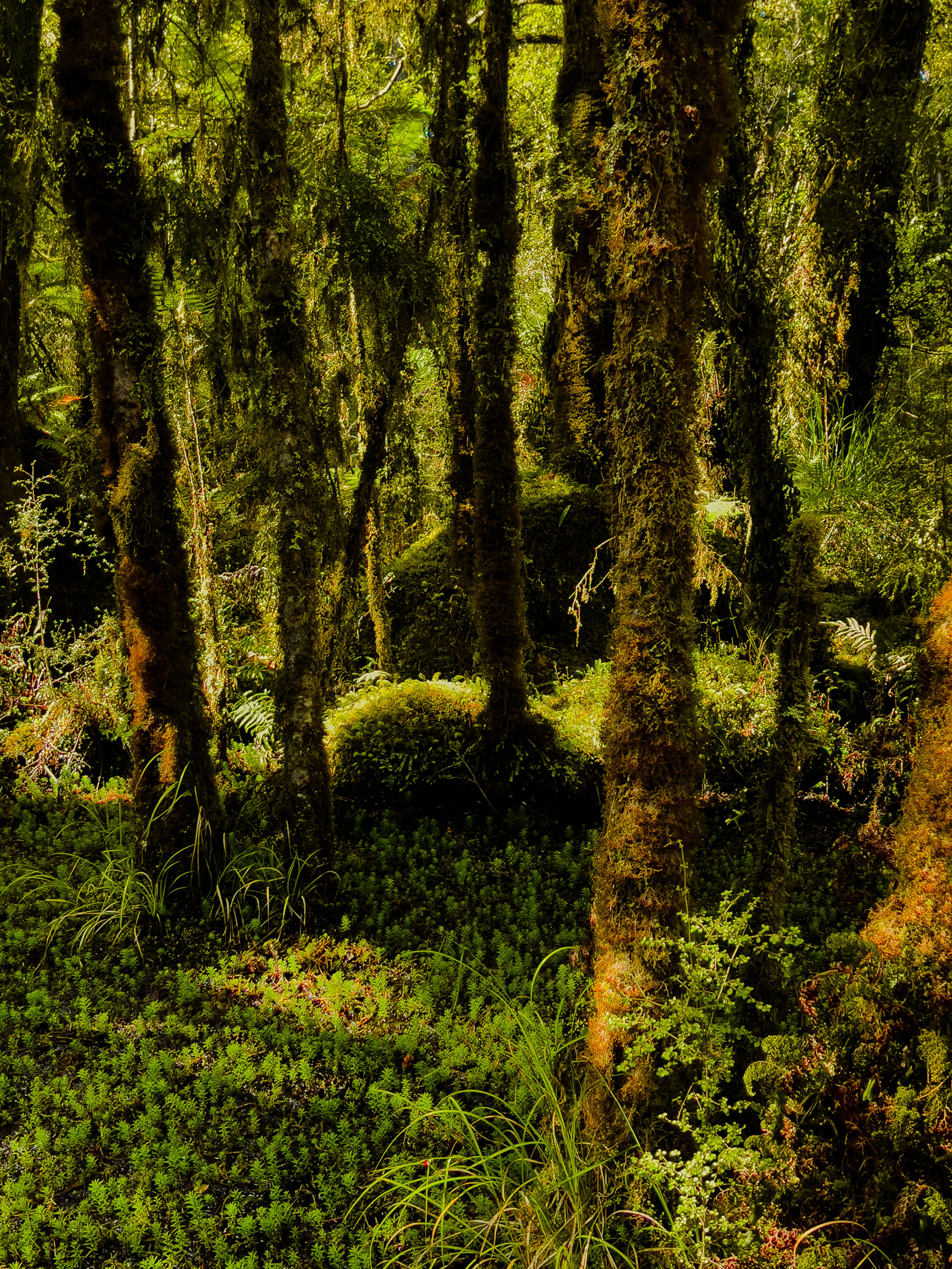 Image 5 of 10