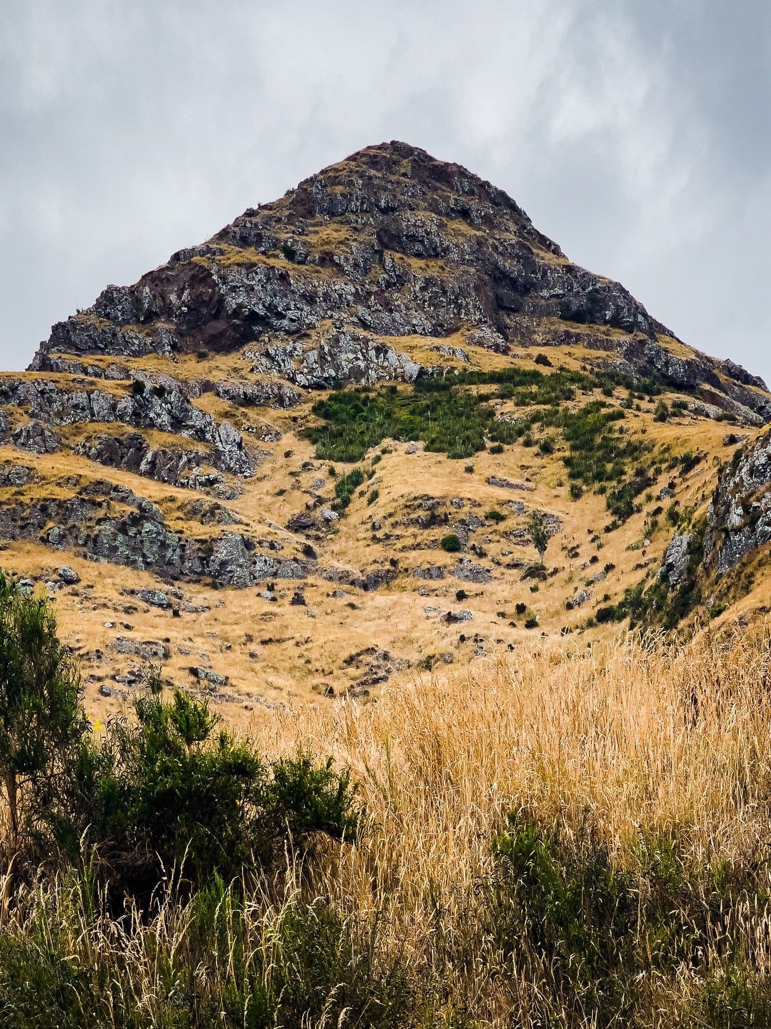 Image 5 of 11
