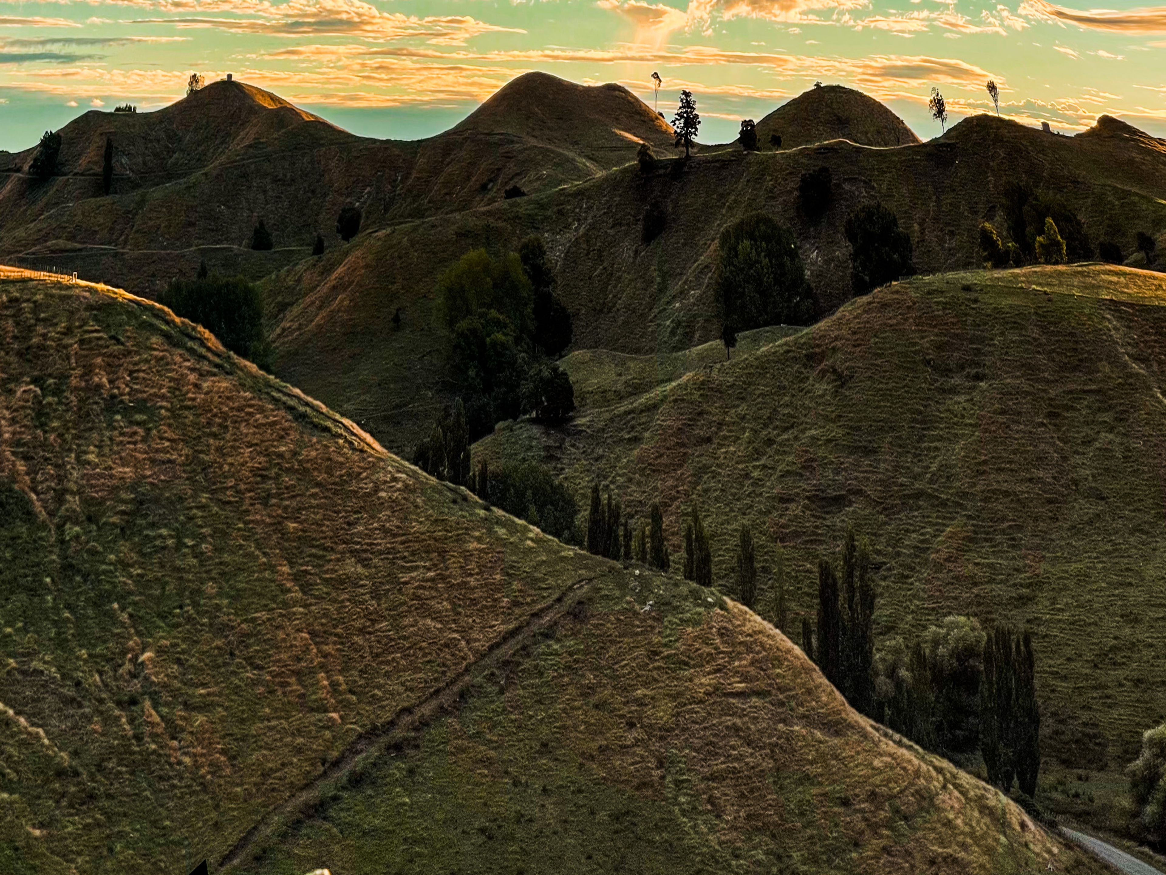 Image 7 of 10