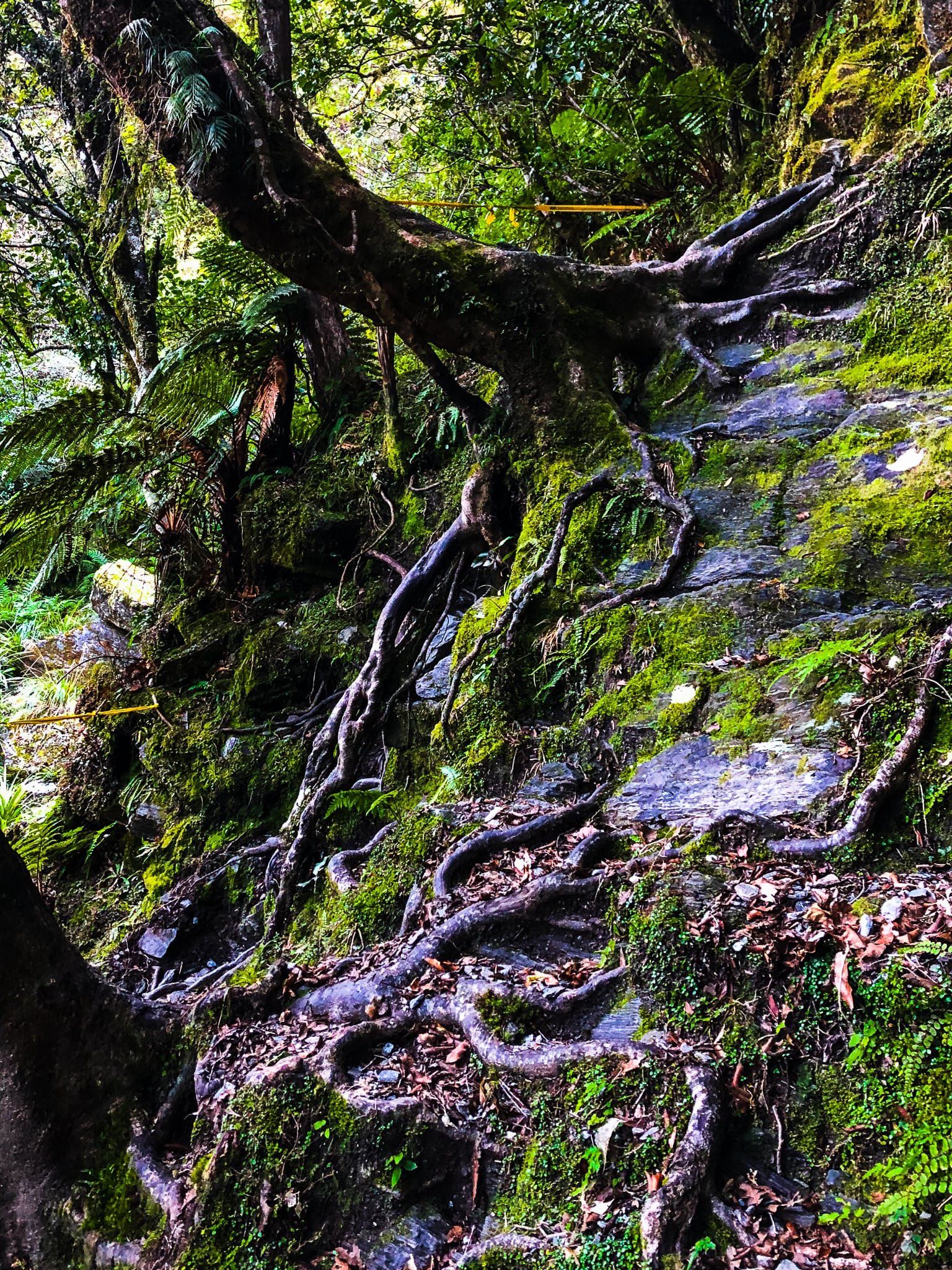 Image 4 of 6