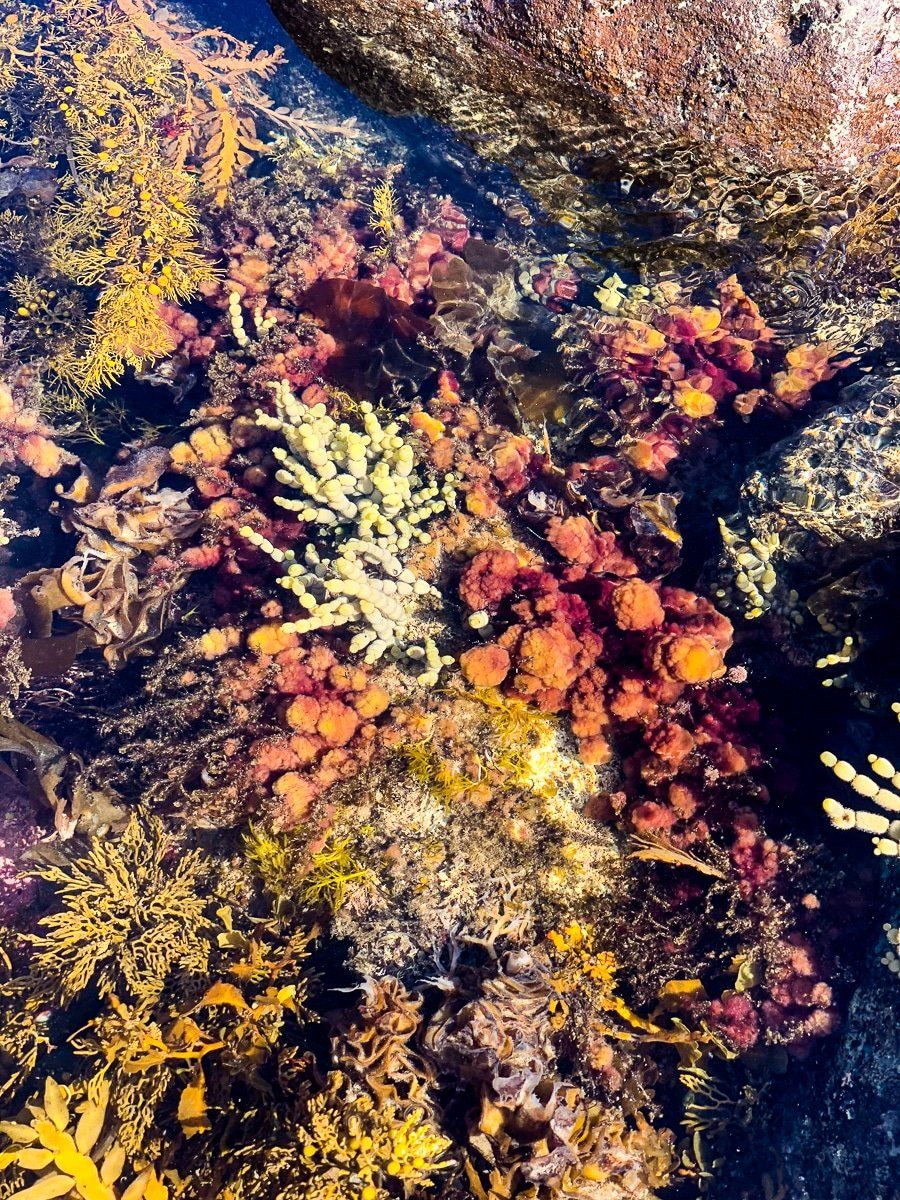 Image 3 of 8