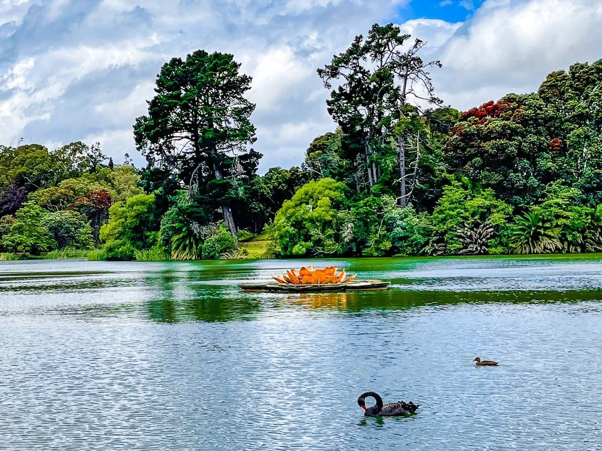 Rotokawau Virginia Lake