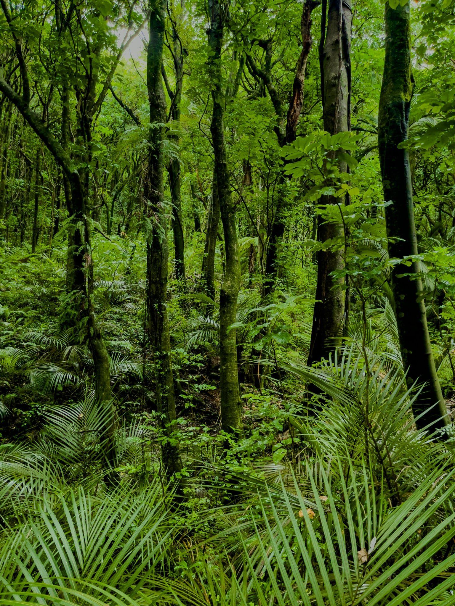 Image 1 of 12