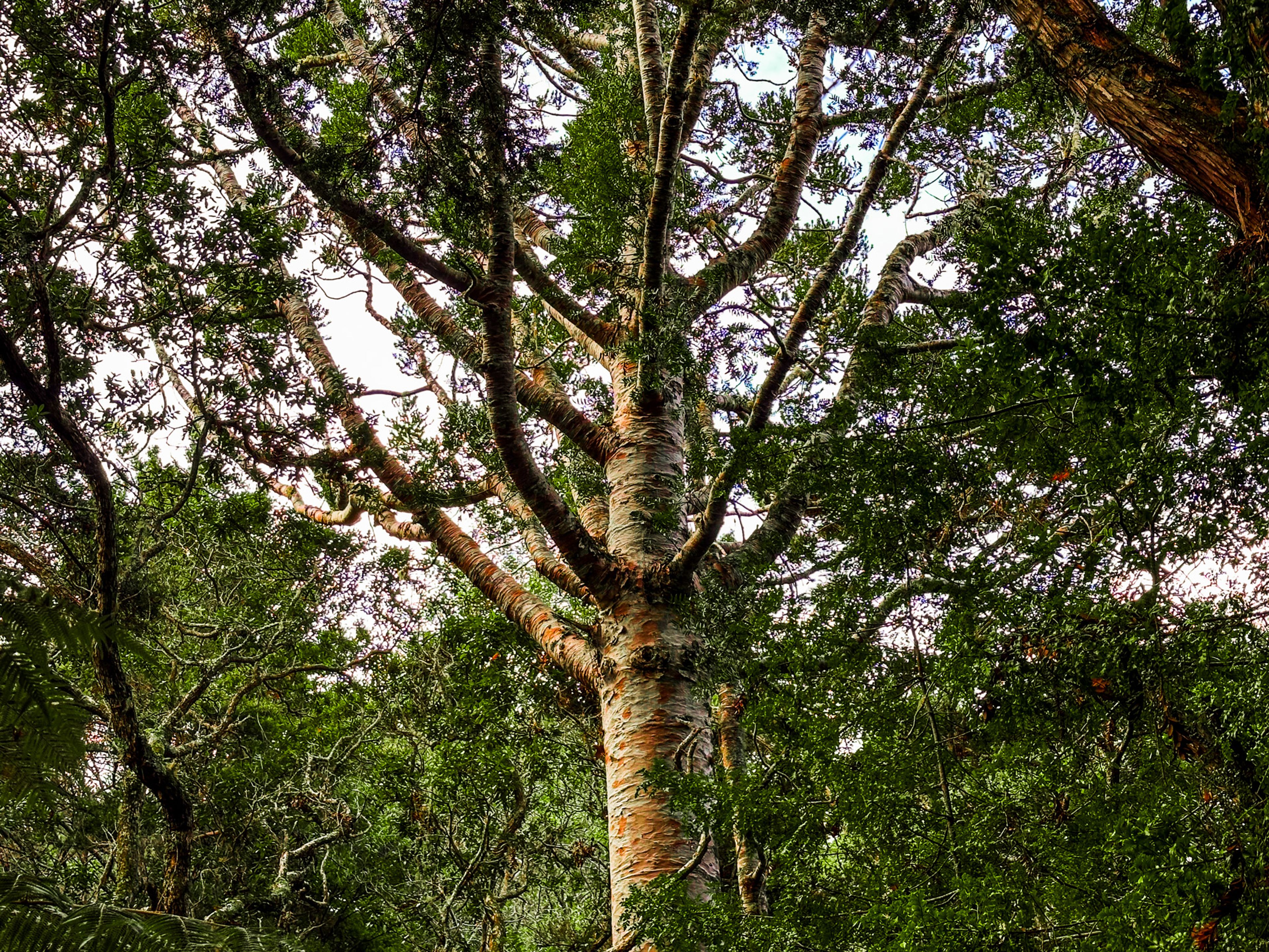 Image 7 of 10