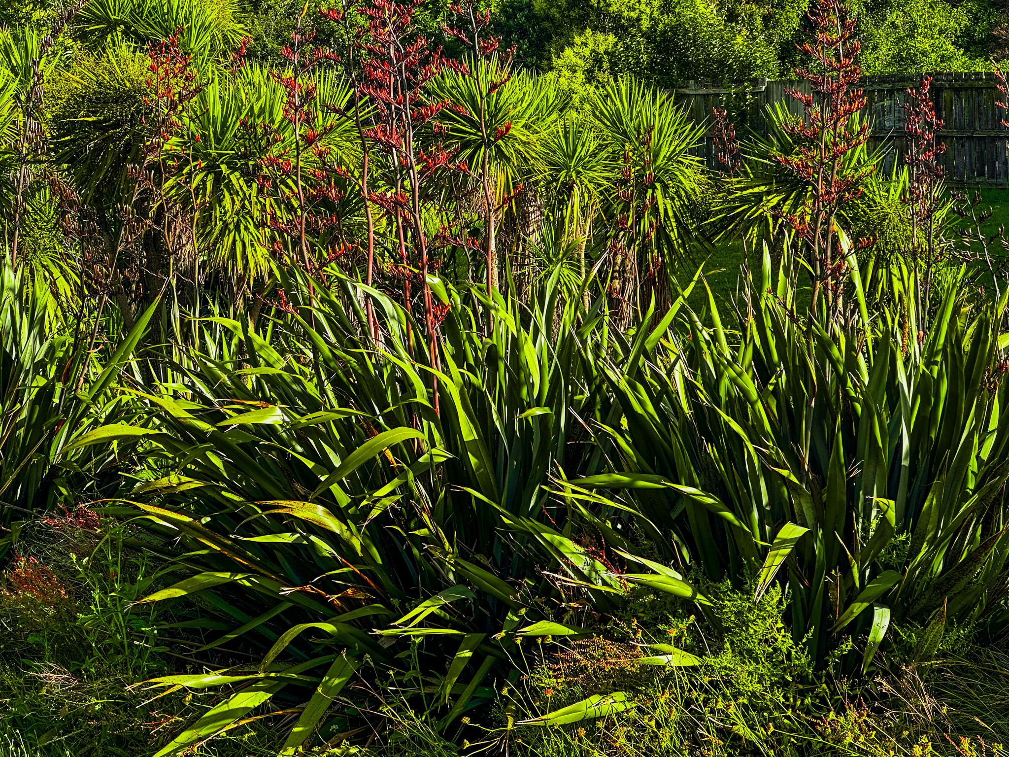 Image 9 of 10