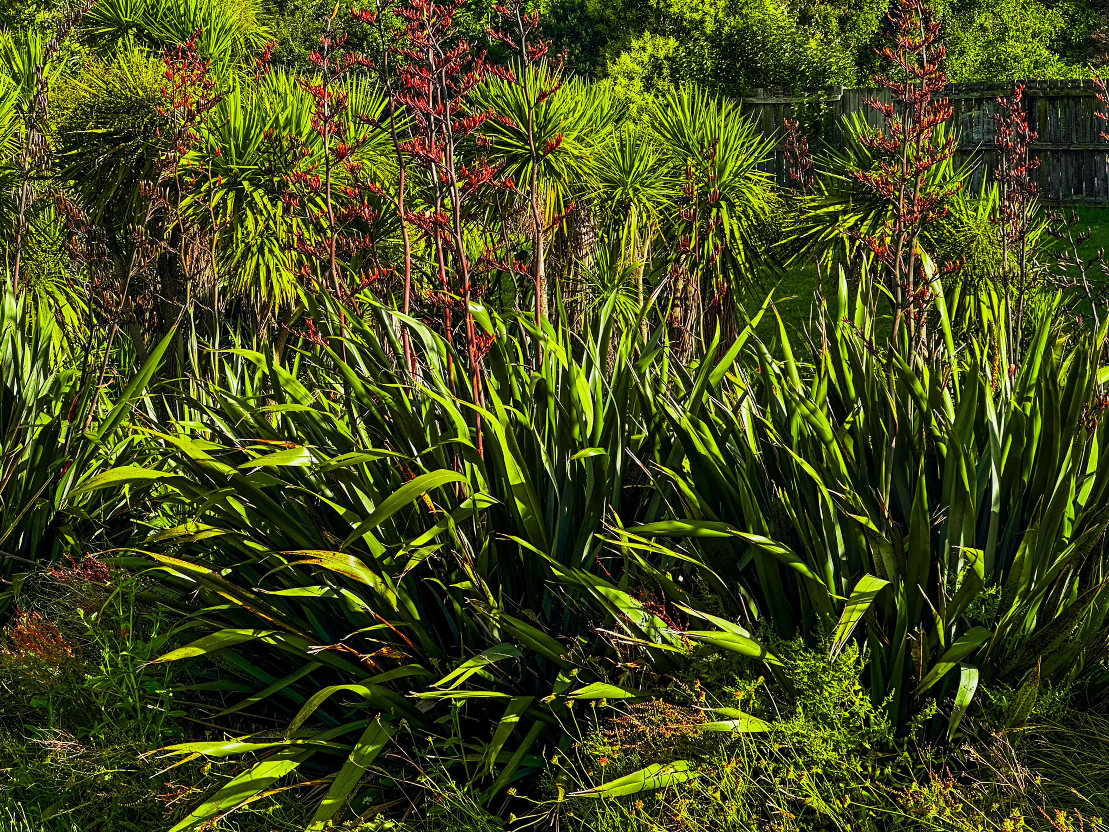 Image 9 of 10
