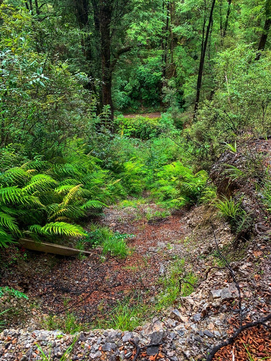 Image 6 of 7