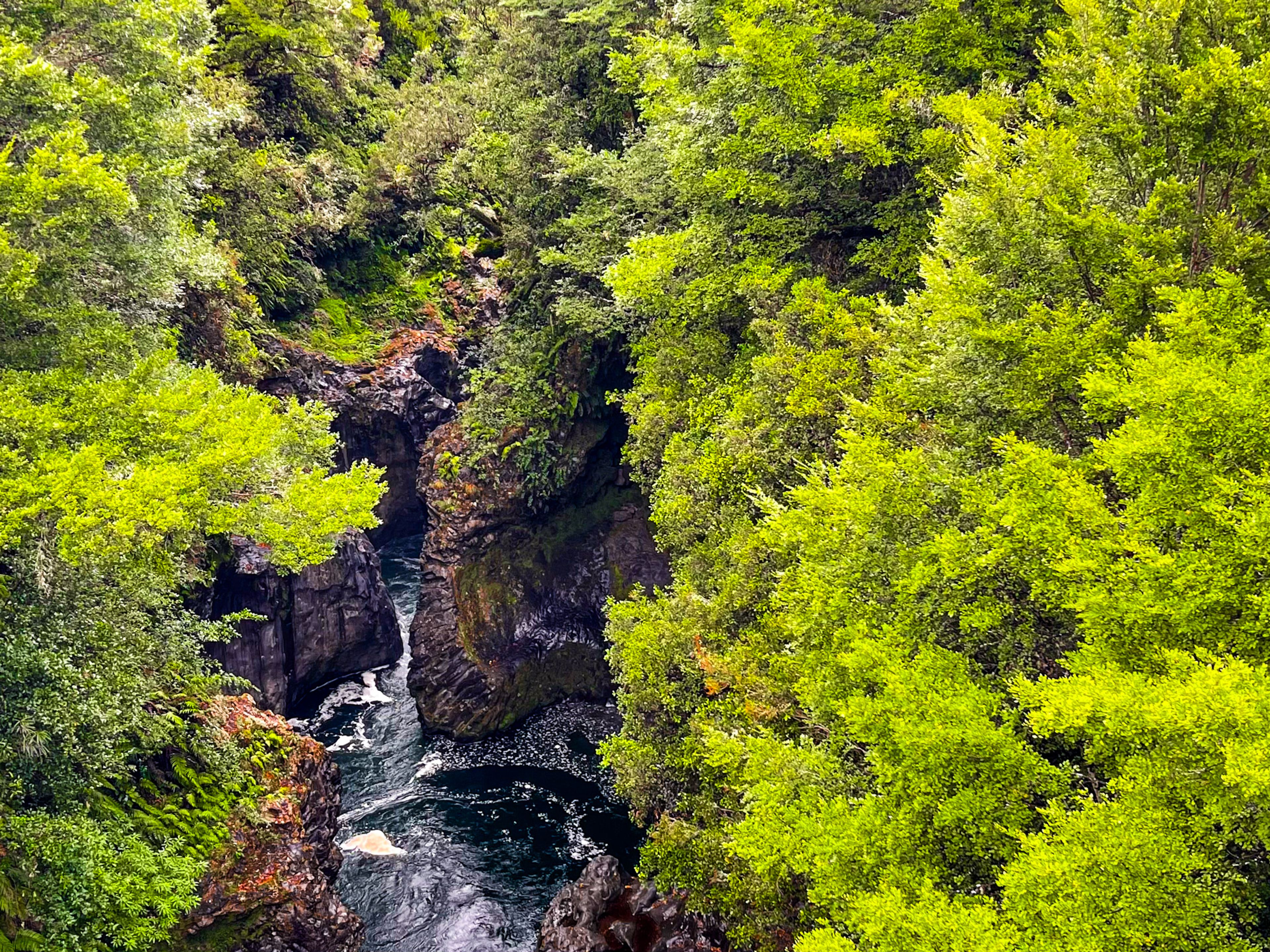 Image 7 of 10