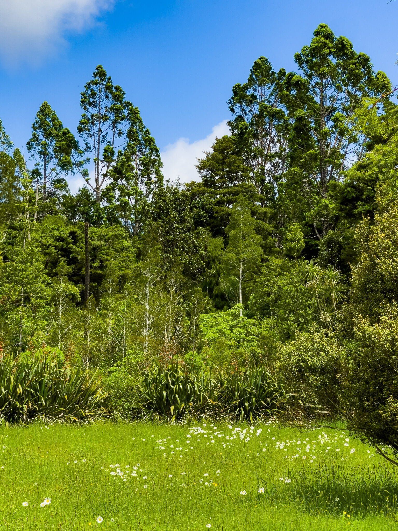Image 7 of 10