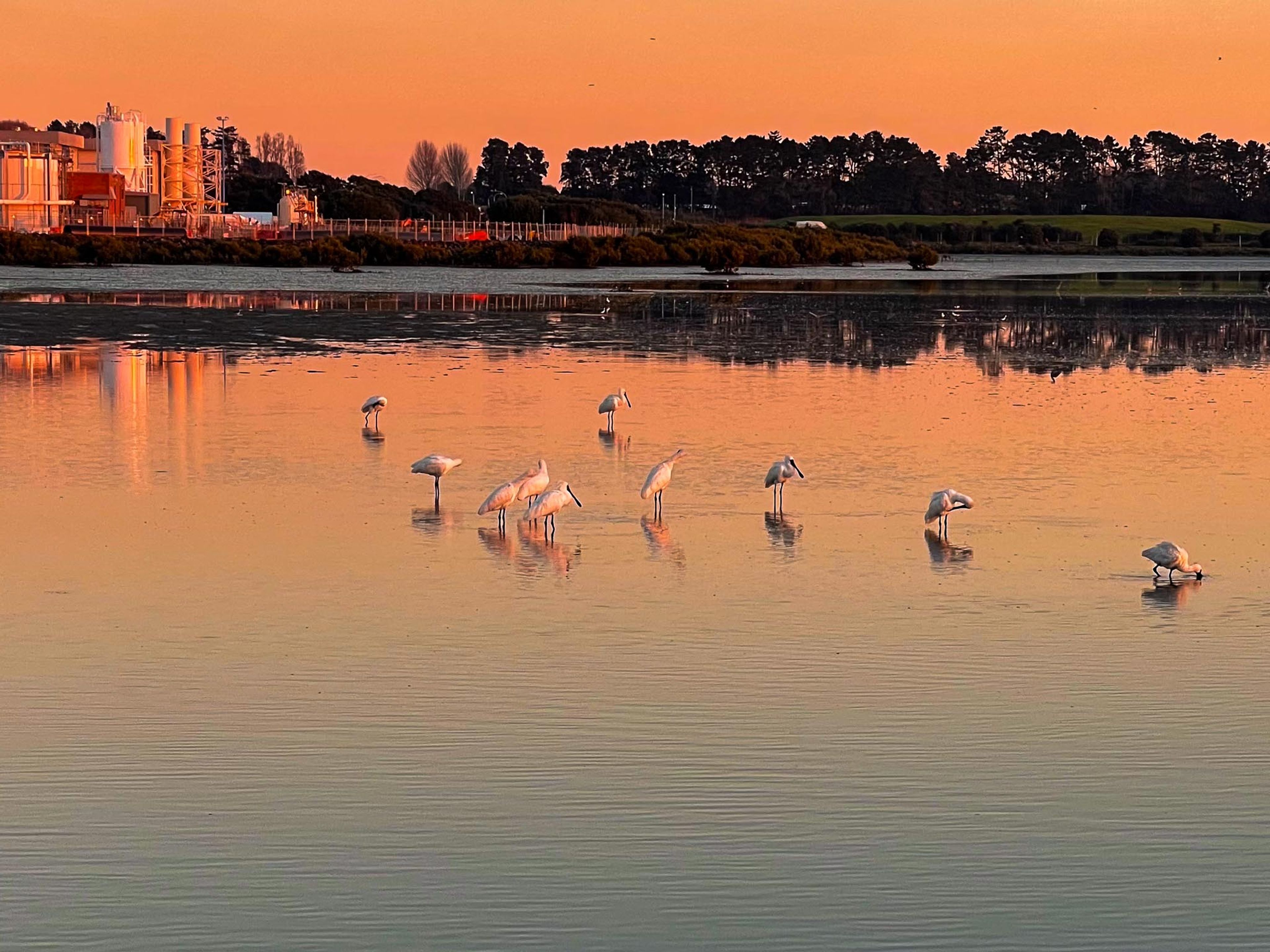 Watercare Coastal Walkway