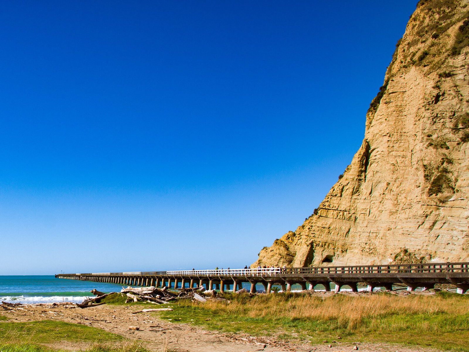Tolaga Bay