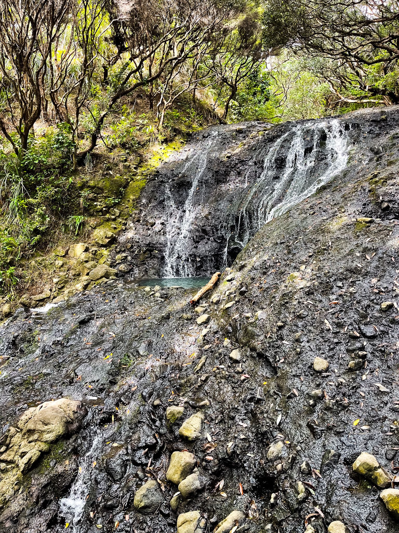 Image 4 of 8
