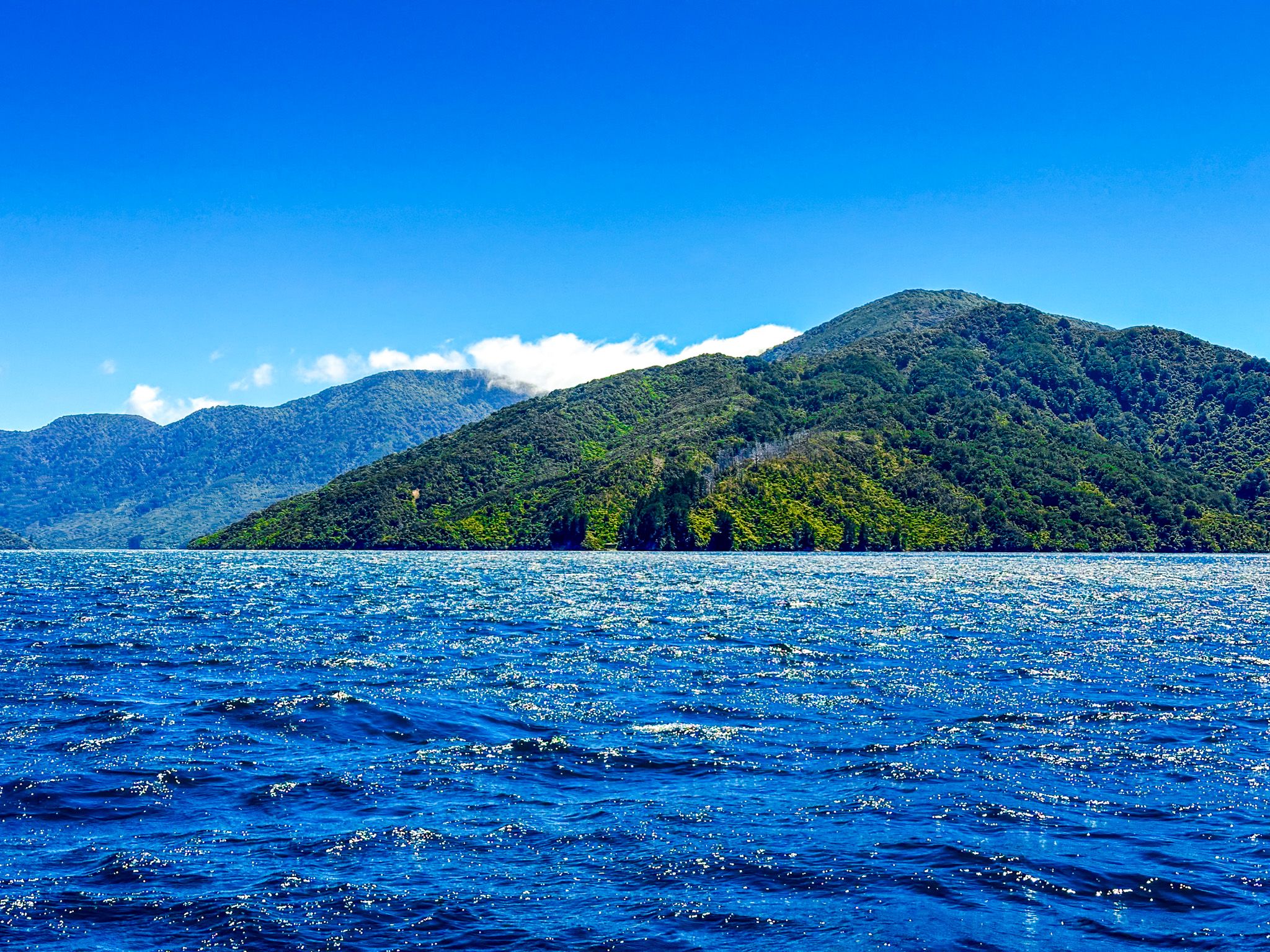 Queen Charlotte Sound / Tōtaranui