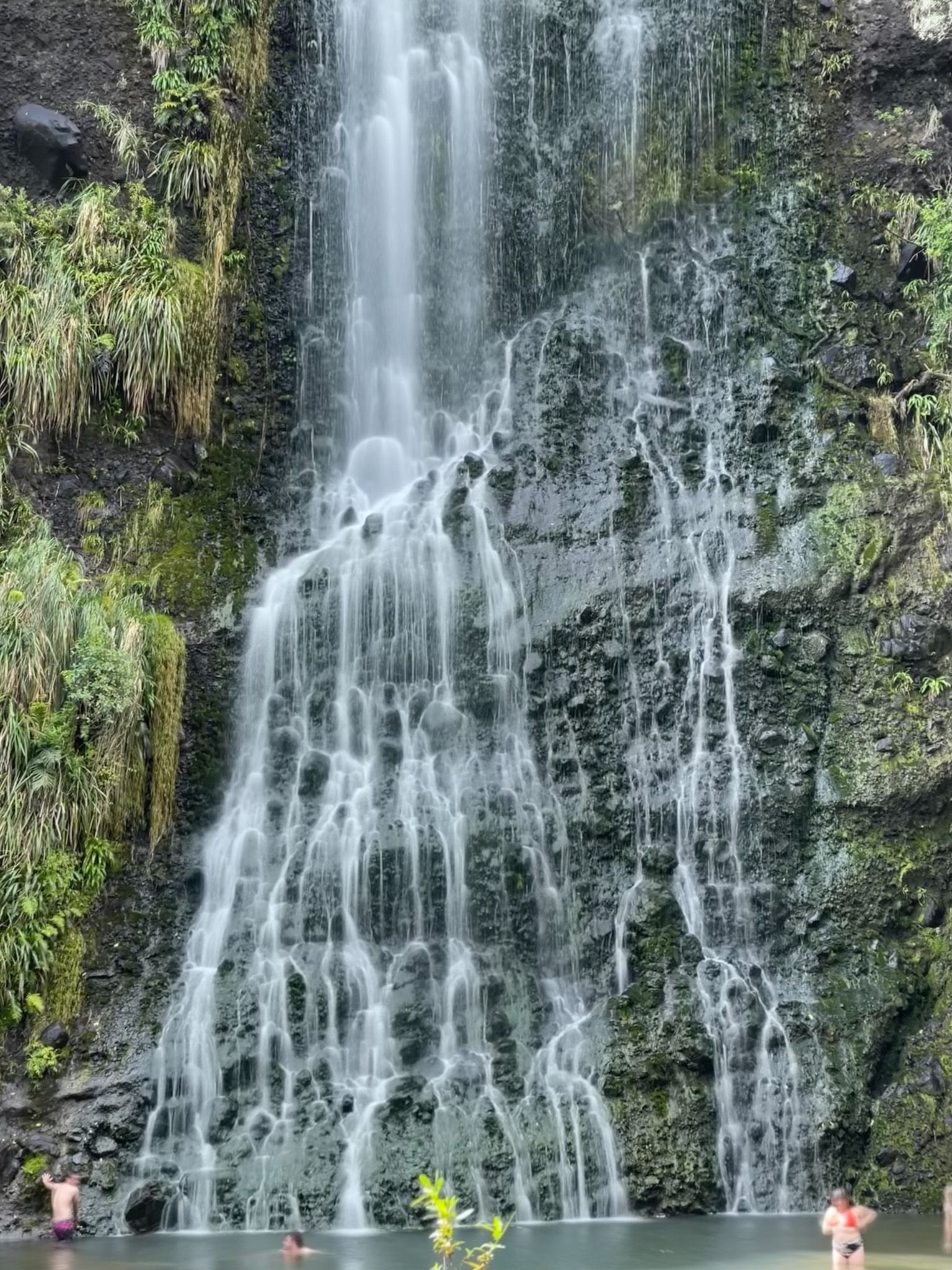 Image 6 of 8