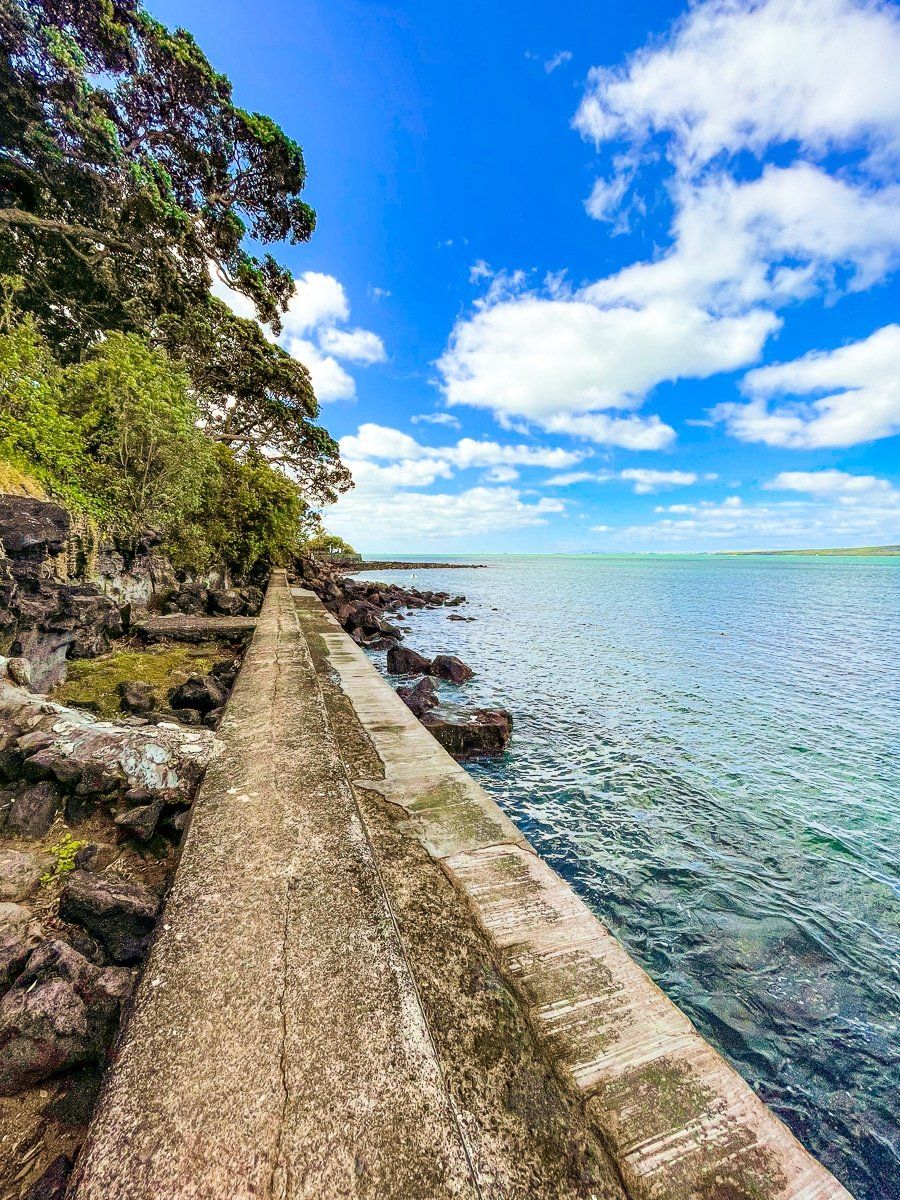 Image 5 of 6