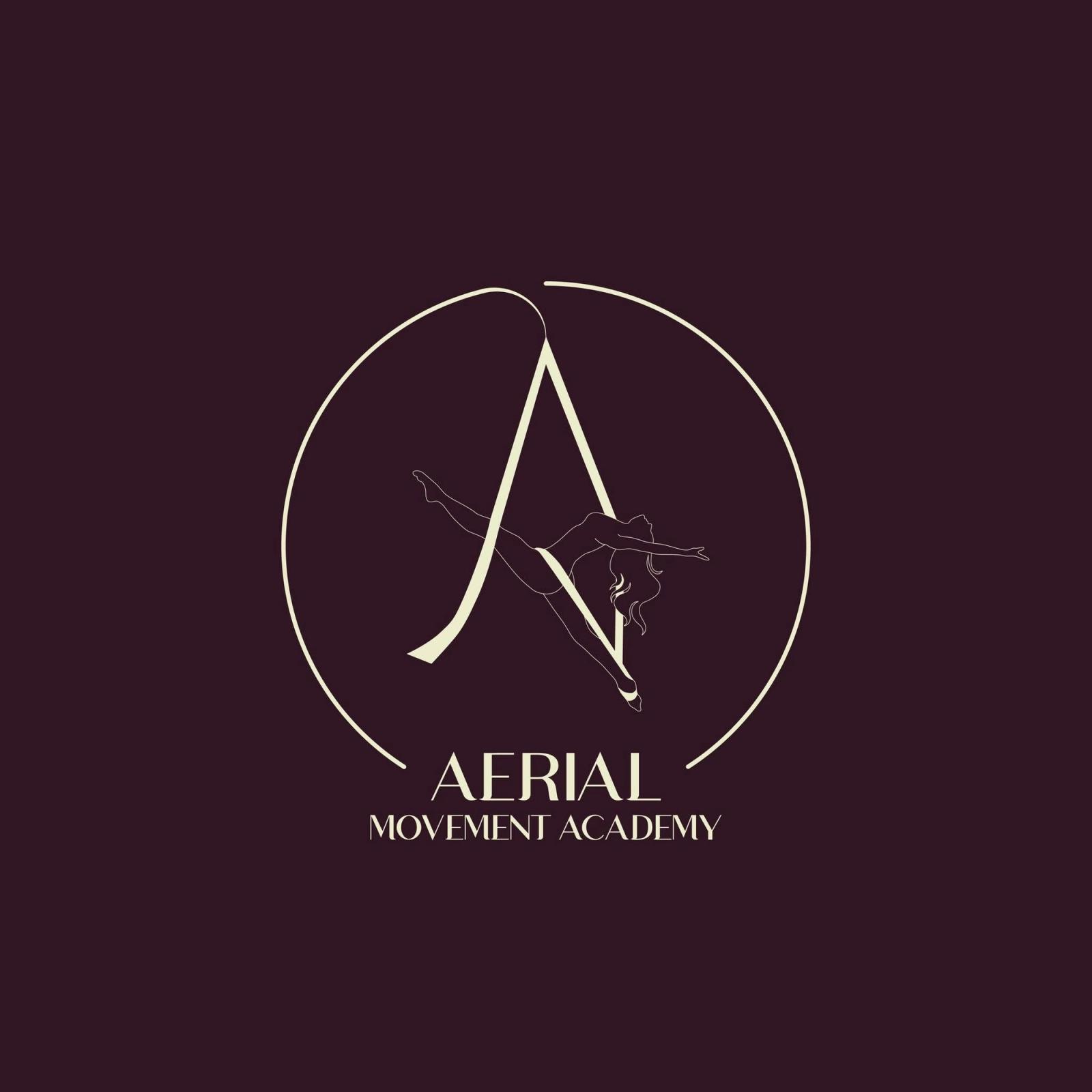 Aerial Movement Academy main image
