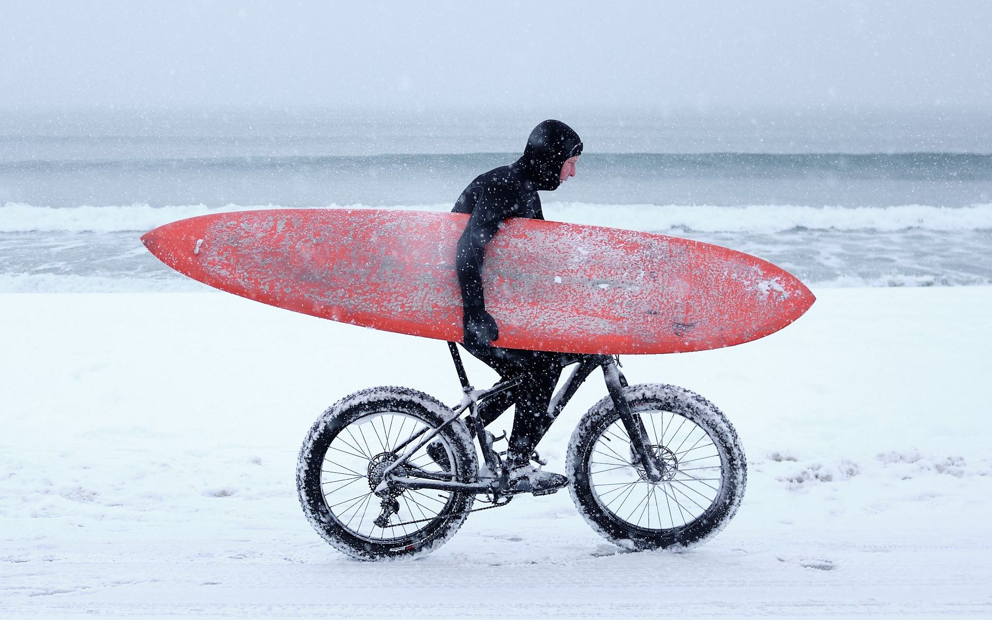 Components – Tyler McRobert