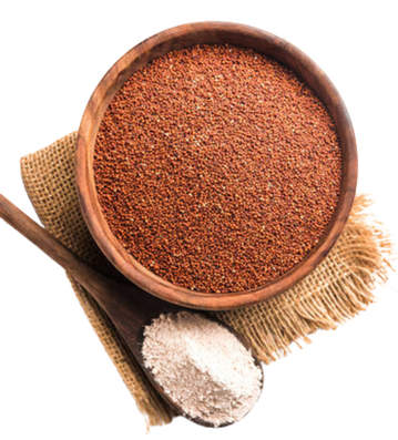 Ragi