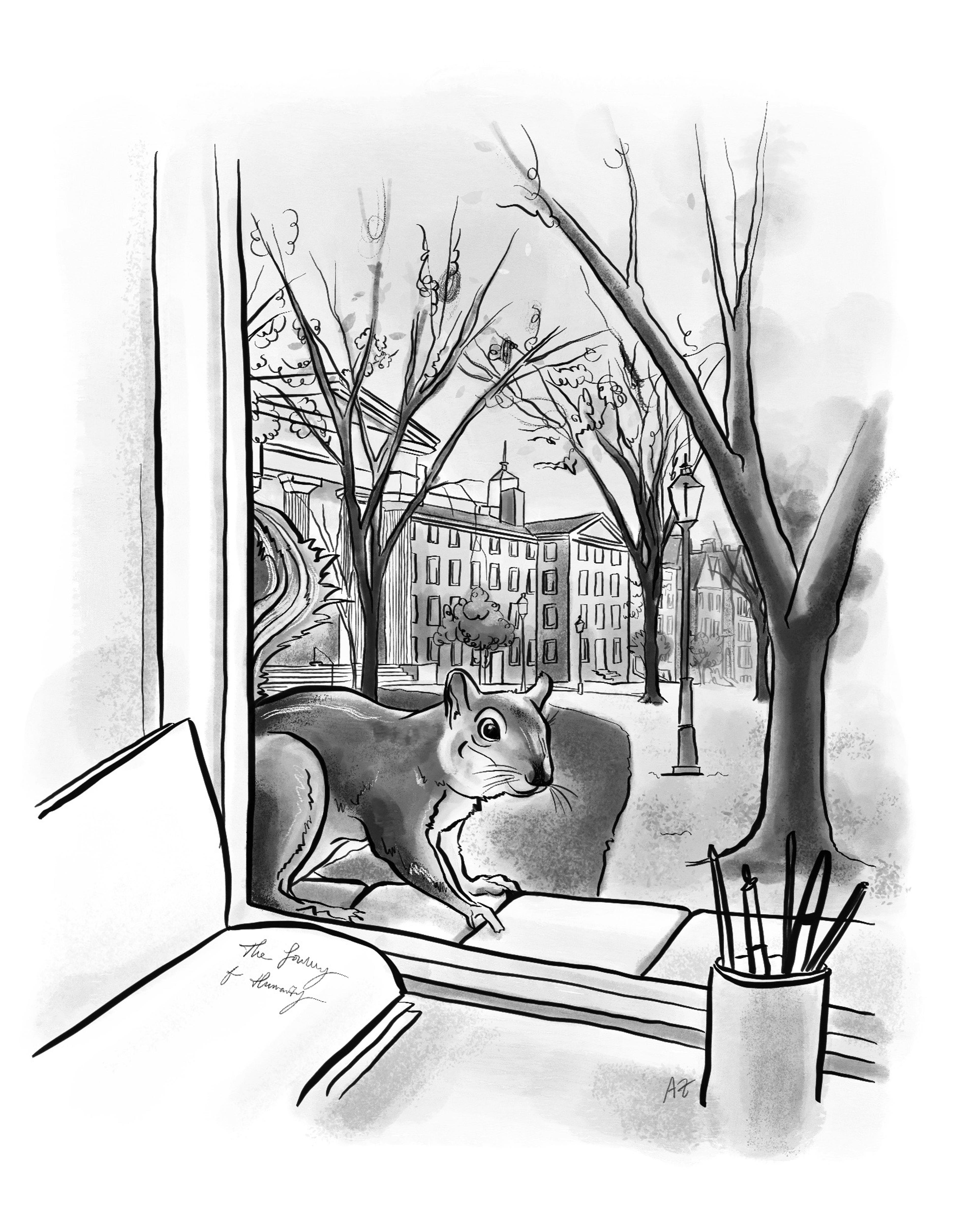 Squirrel