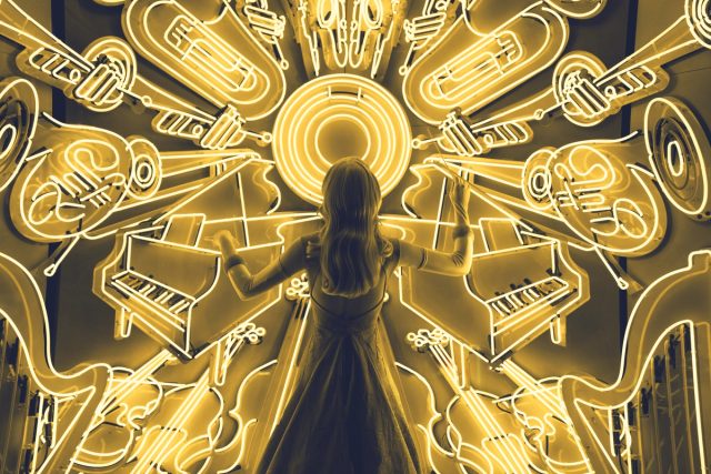 Votre Soirée Privée avec une Animation Musicale Professionnelle