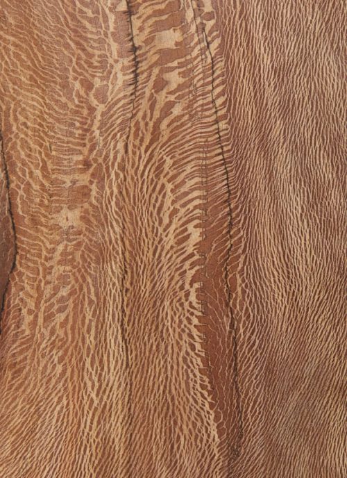 Solid London Plane, Natural Oil
