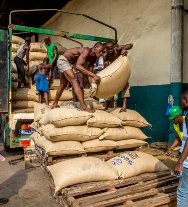 Unloading sacks of cocoa at Abidjan port, Ivory Coast