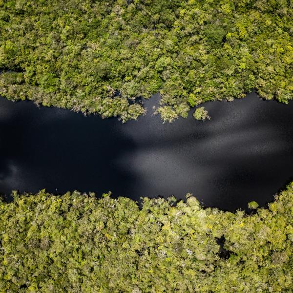 Cueiras river, Amazonas State // Rogerio Assis