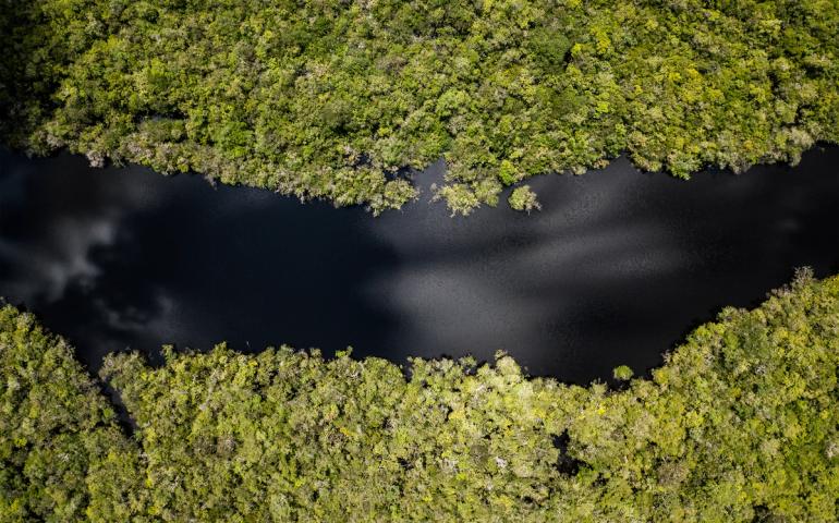 Cueiras river, Amazonas State