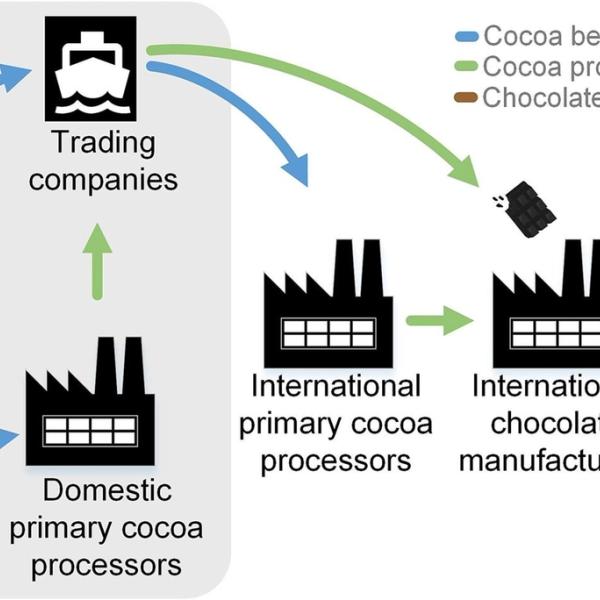 Global cocoa value chain and boundaries of the study (in gray)