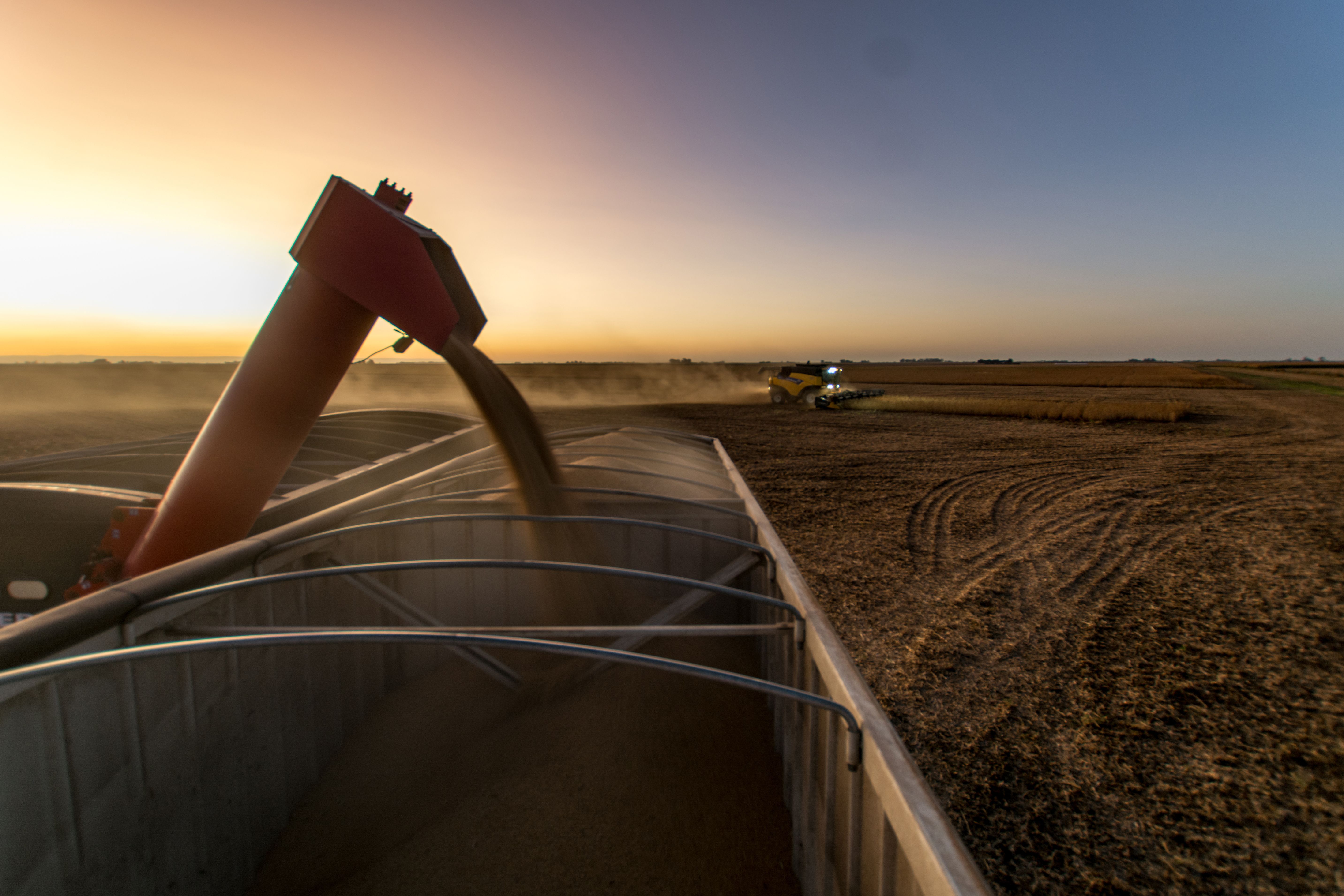 Soy production in Argentina (Credit: Giuliana/Adobe Stock)