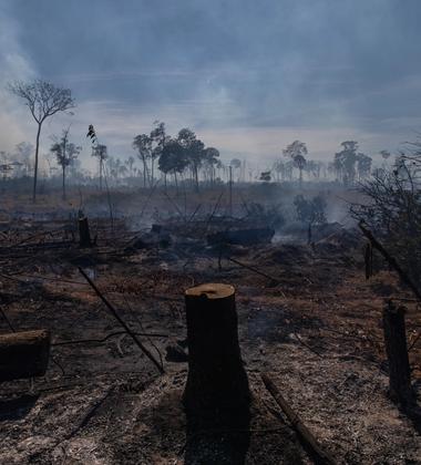 Forest fires in Mato Grosso State, Brazil