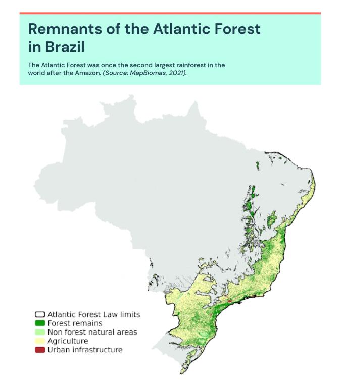 Atlantic Forest Brazil