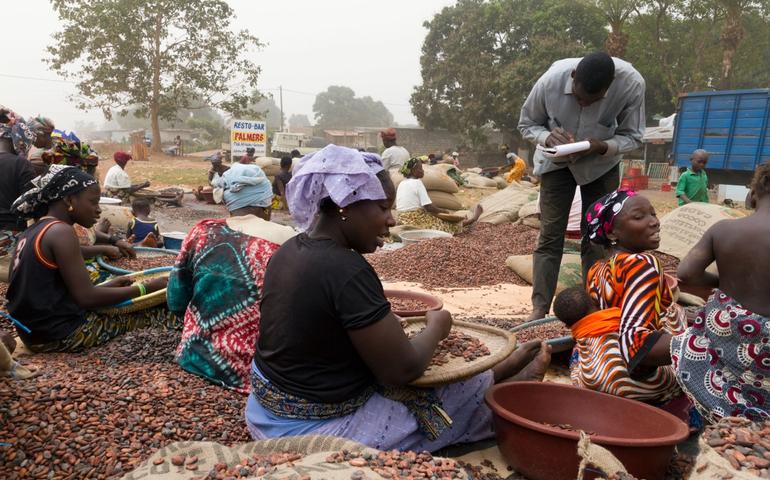 Cocoa farm workers in Côte d’Ivoire