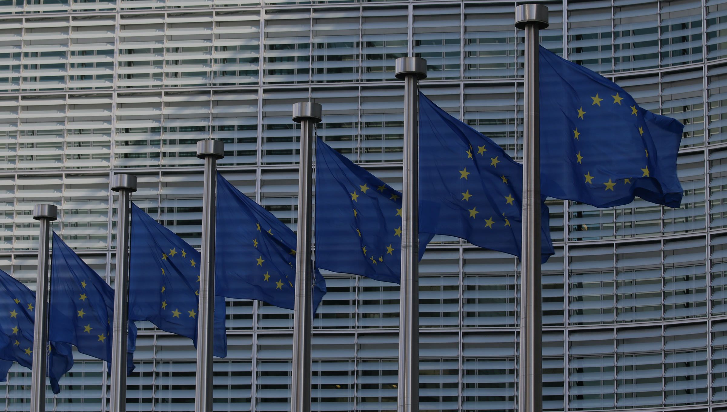 EU flags