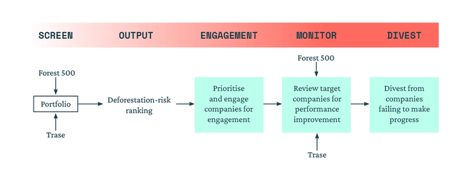 Storebrand uses Forest 500 and Trase data to inform its engagement activities