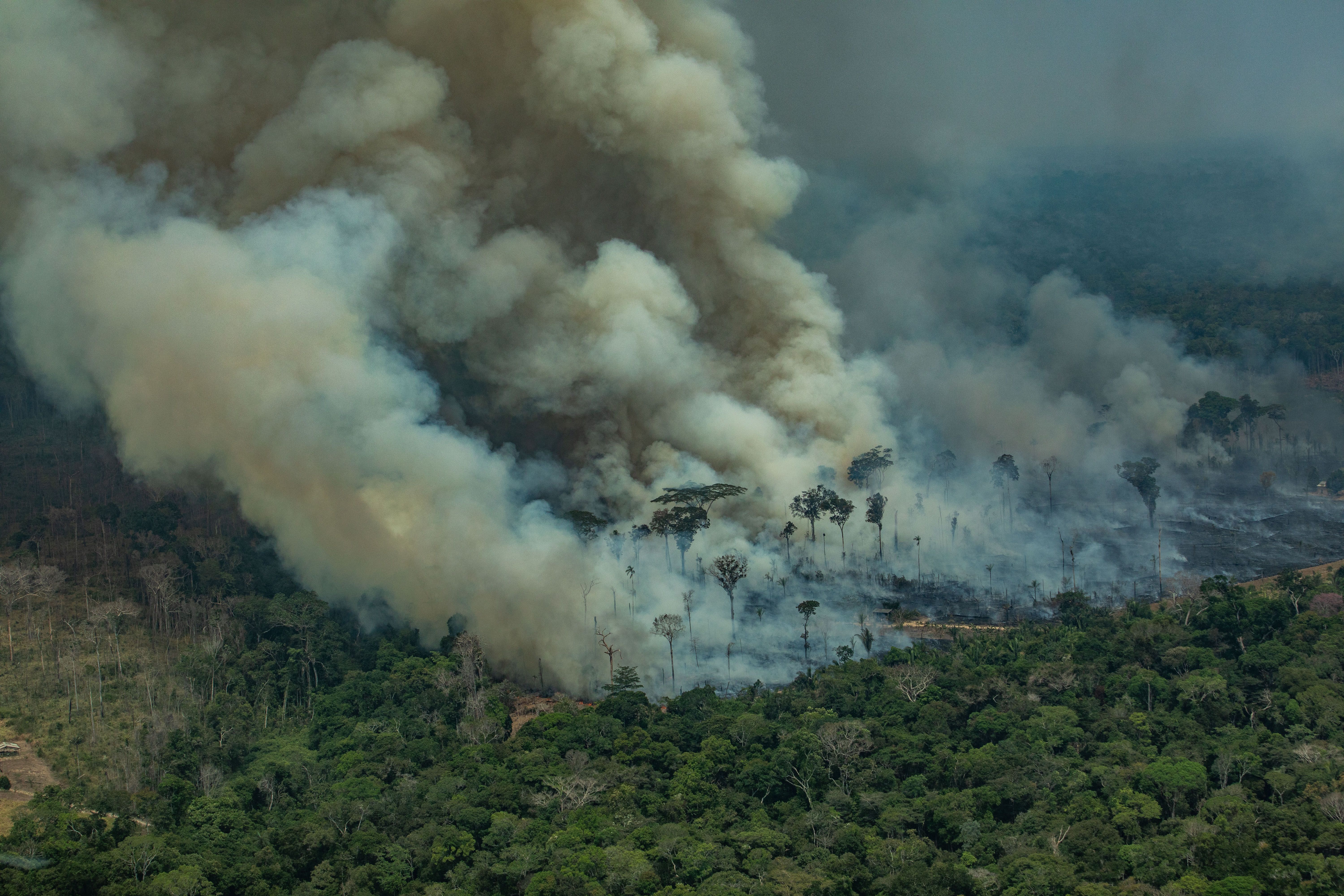FOREST FIRES IN THE AMAZON STATE OF RONDONIA IN 2019