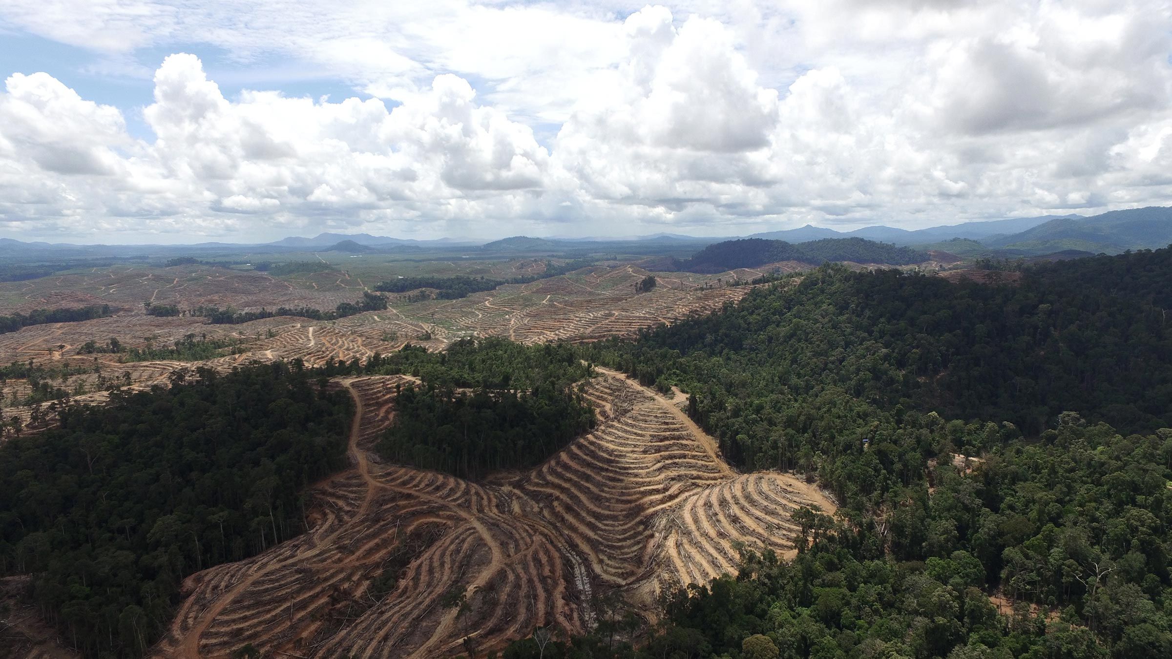 Satellite view deforestation in rondonia brazil hi-res stock photography  and images - Alamy