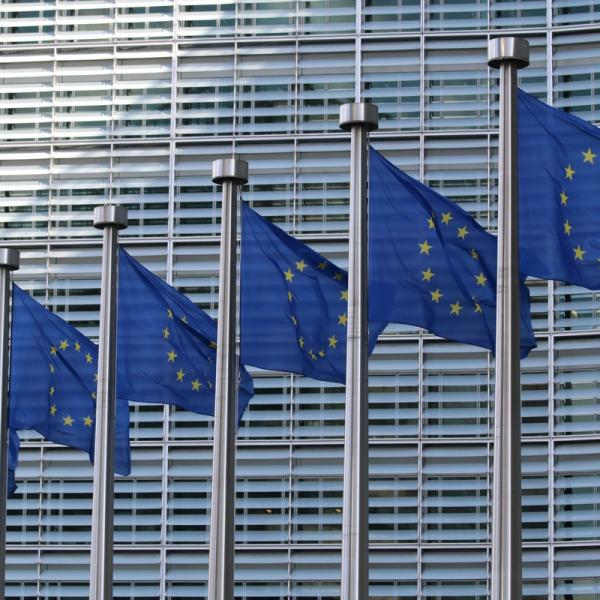EU flags / Guillaume Périgois, Unsplash
