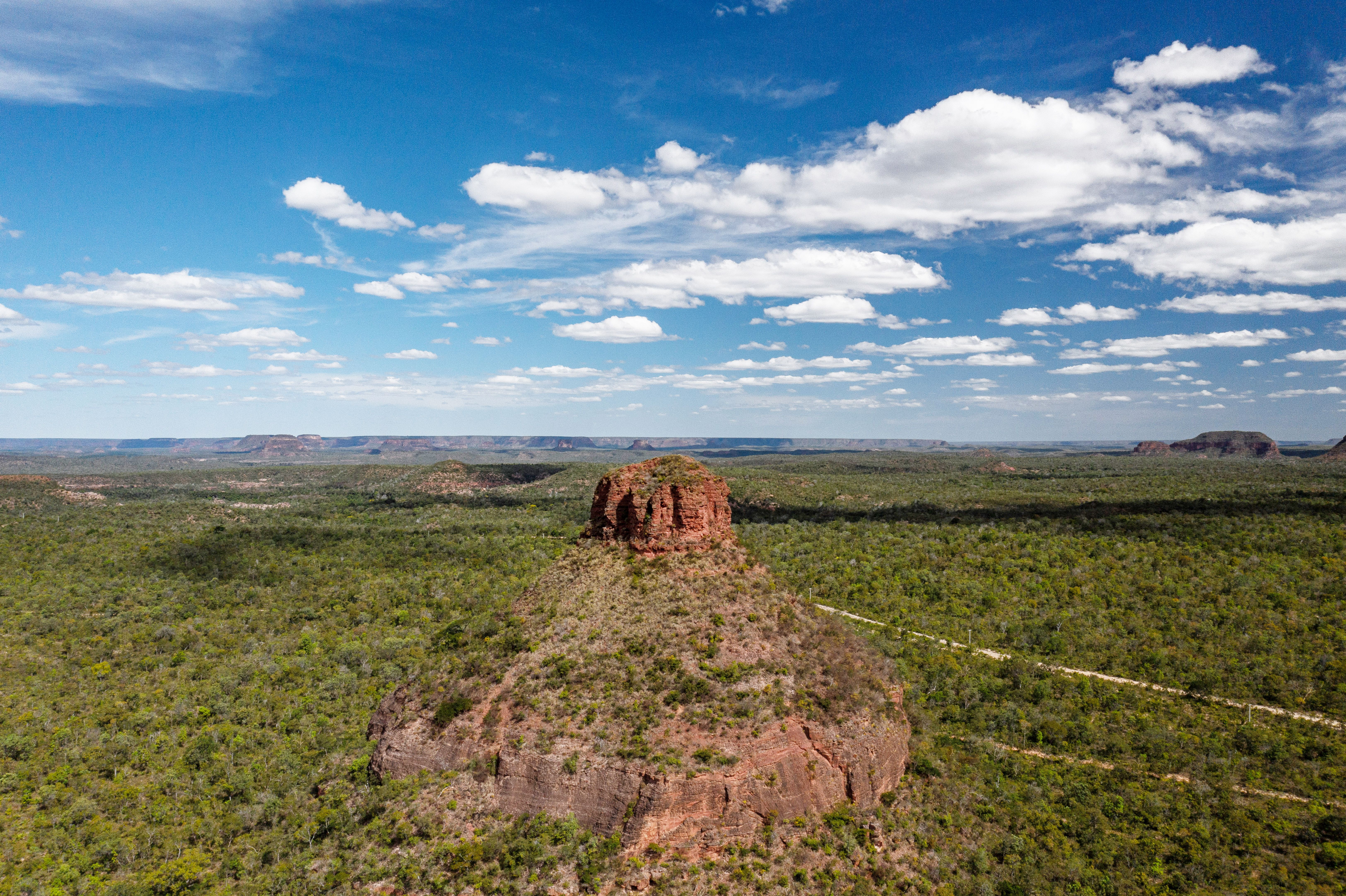 Brazil Cerrado biome