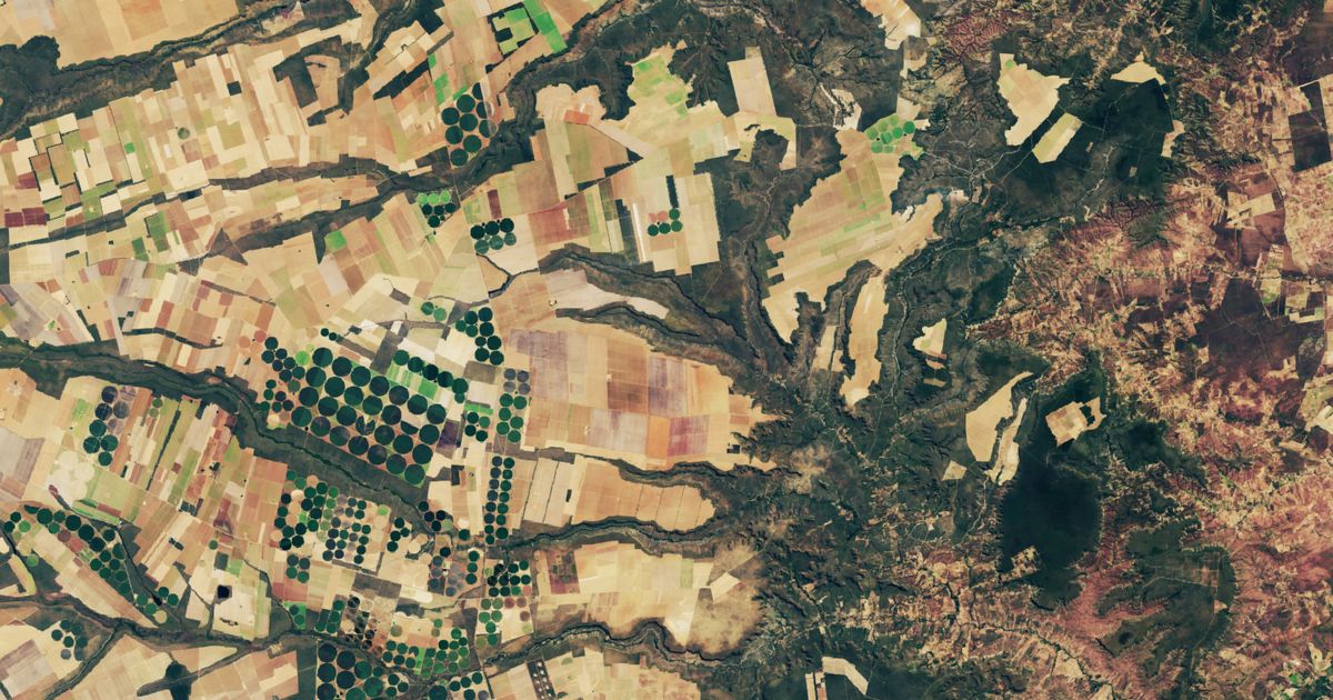 Trase and ClientEarth provide guidance on using geospatial data to ...