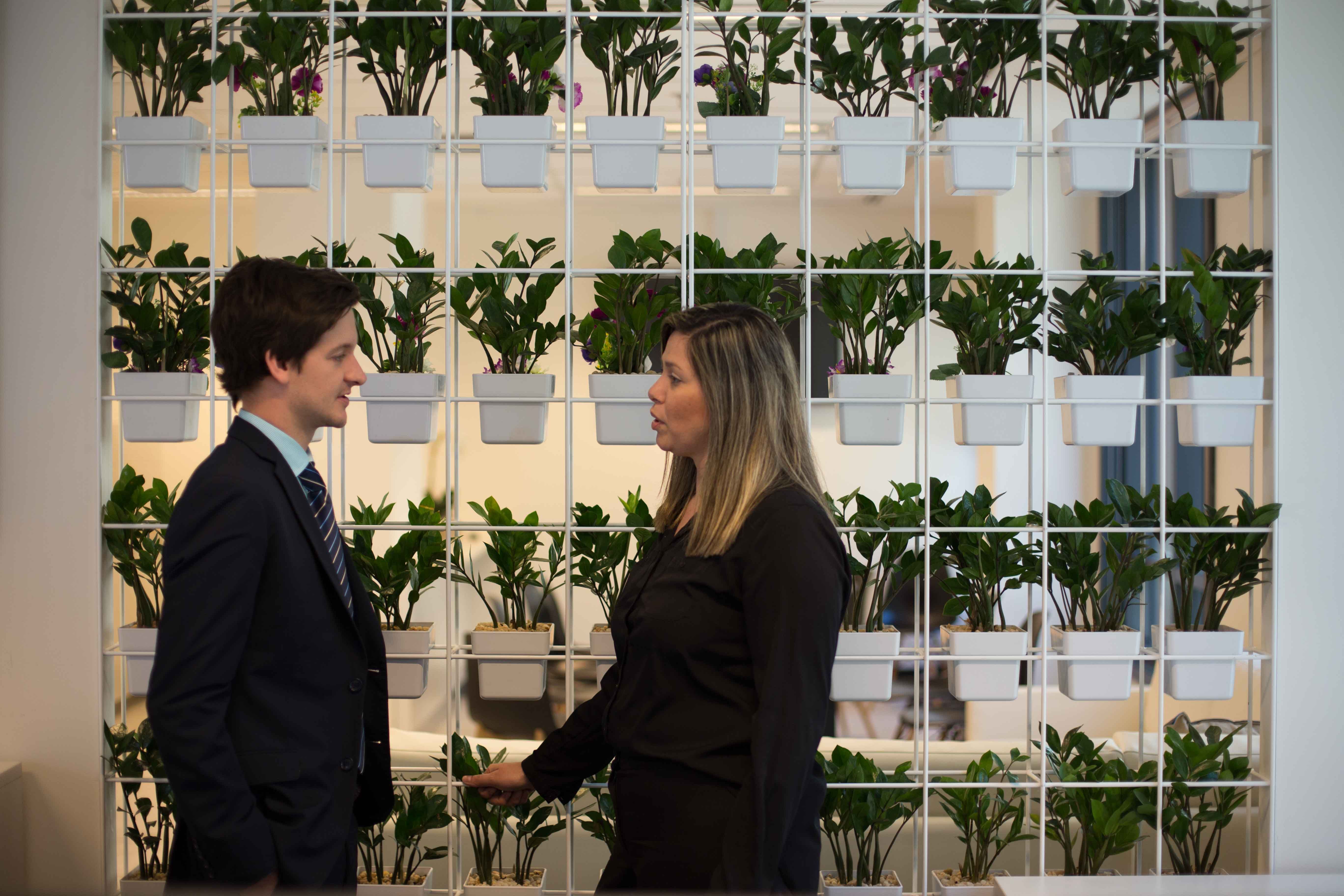 australian debt solvers team