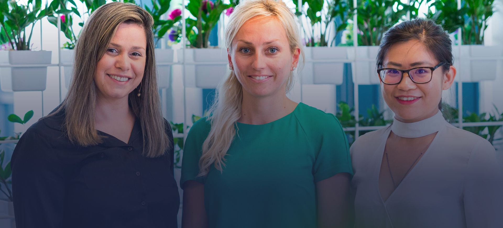 australian debt solvers team